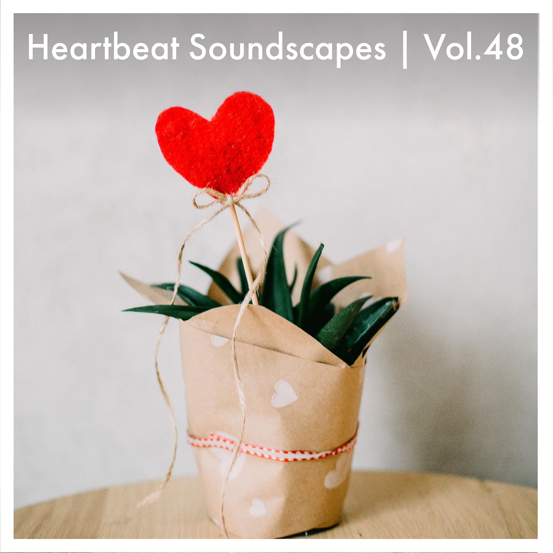 Постер альбома Heartbeat Soundscapes, Vol. 48