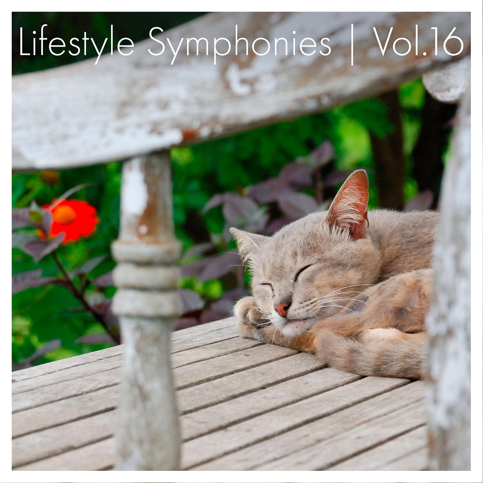 Постер альбома Lifestyle Symphonies, Vol. 16