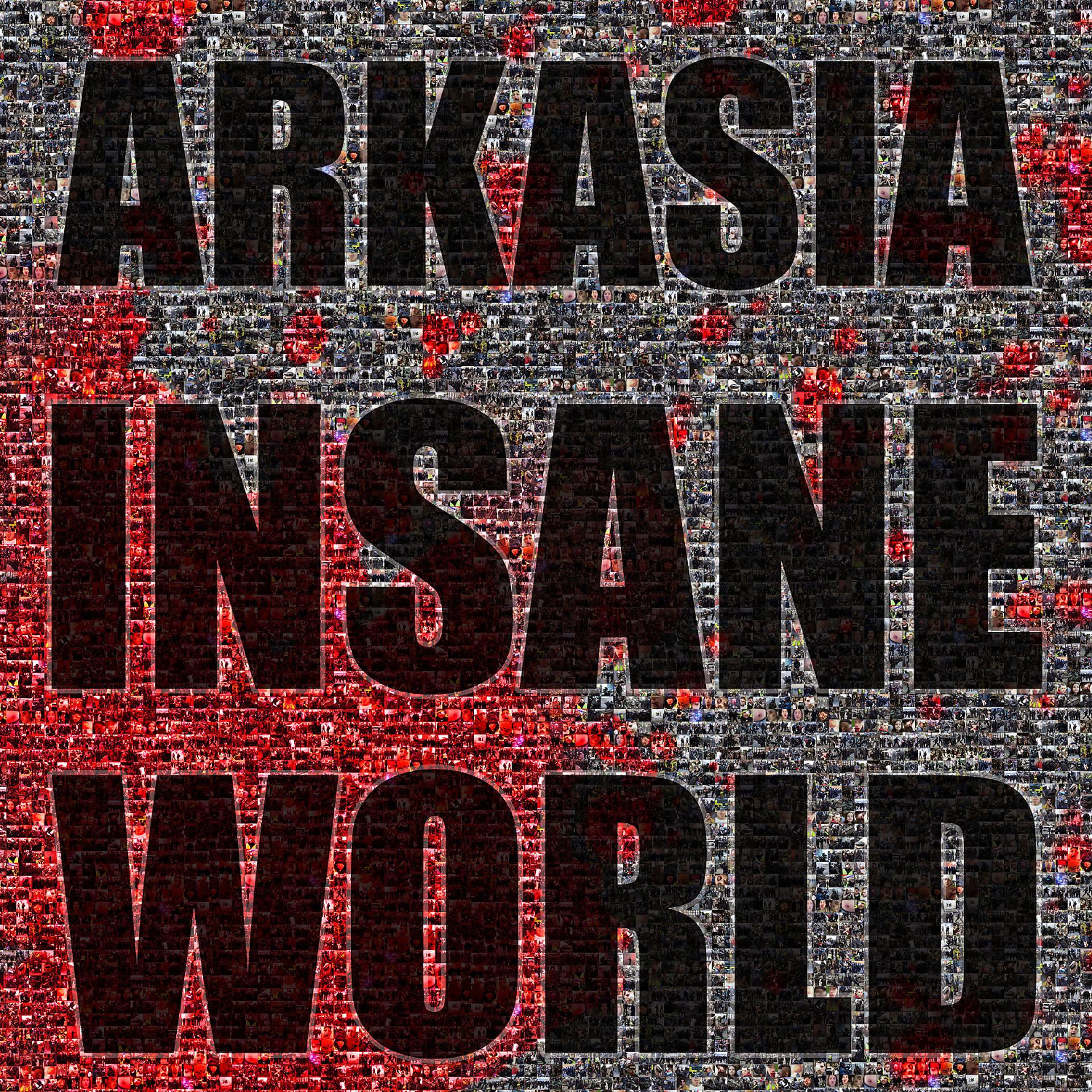 Постер альбома Insane World