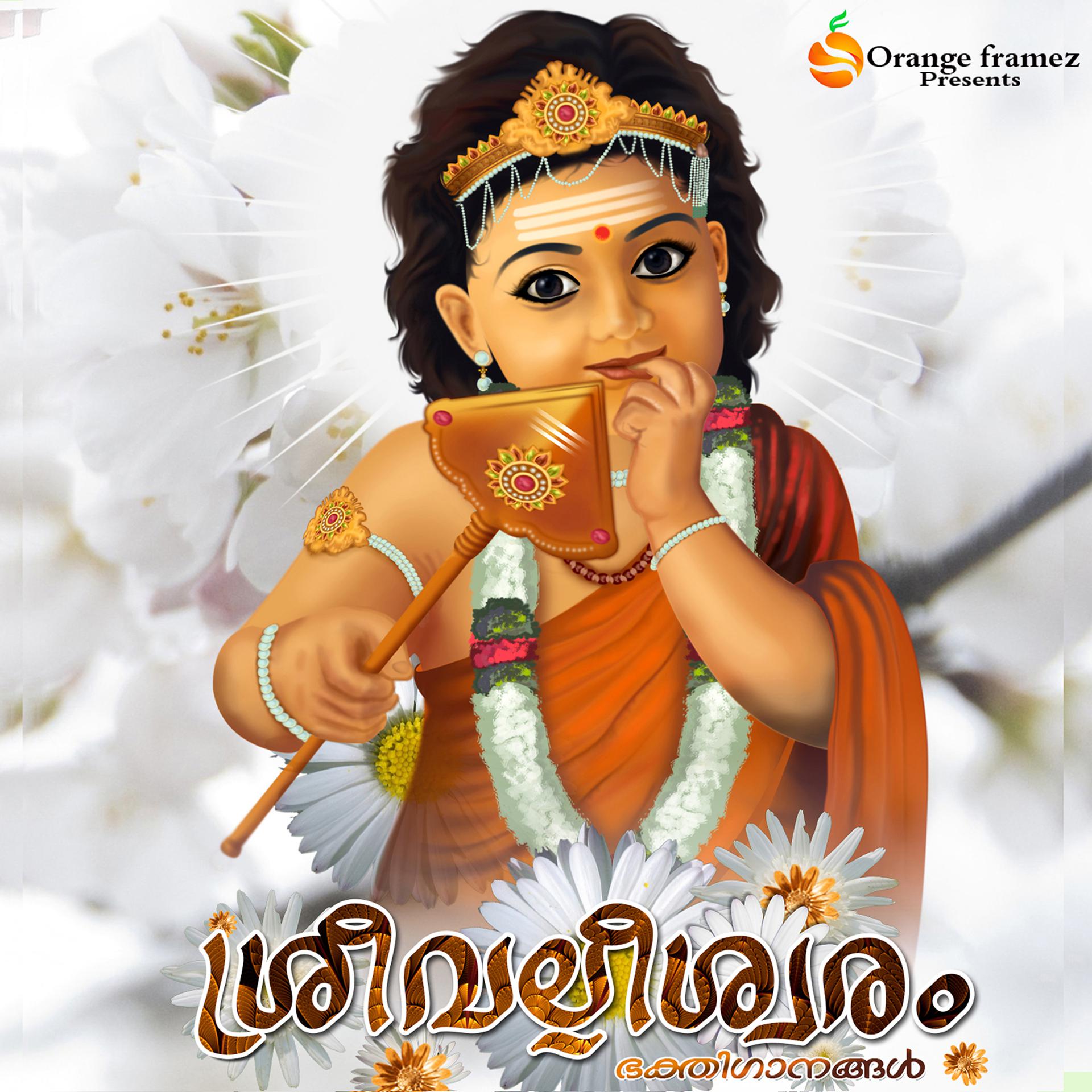 Постер альбома Sreevalleeswaram