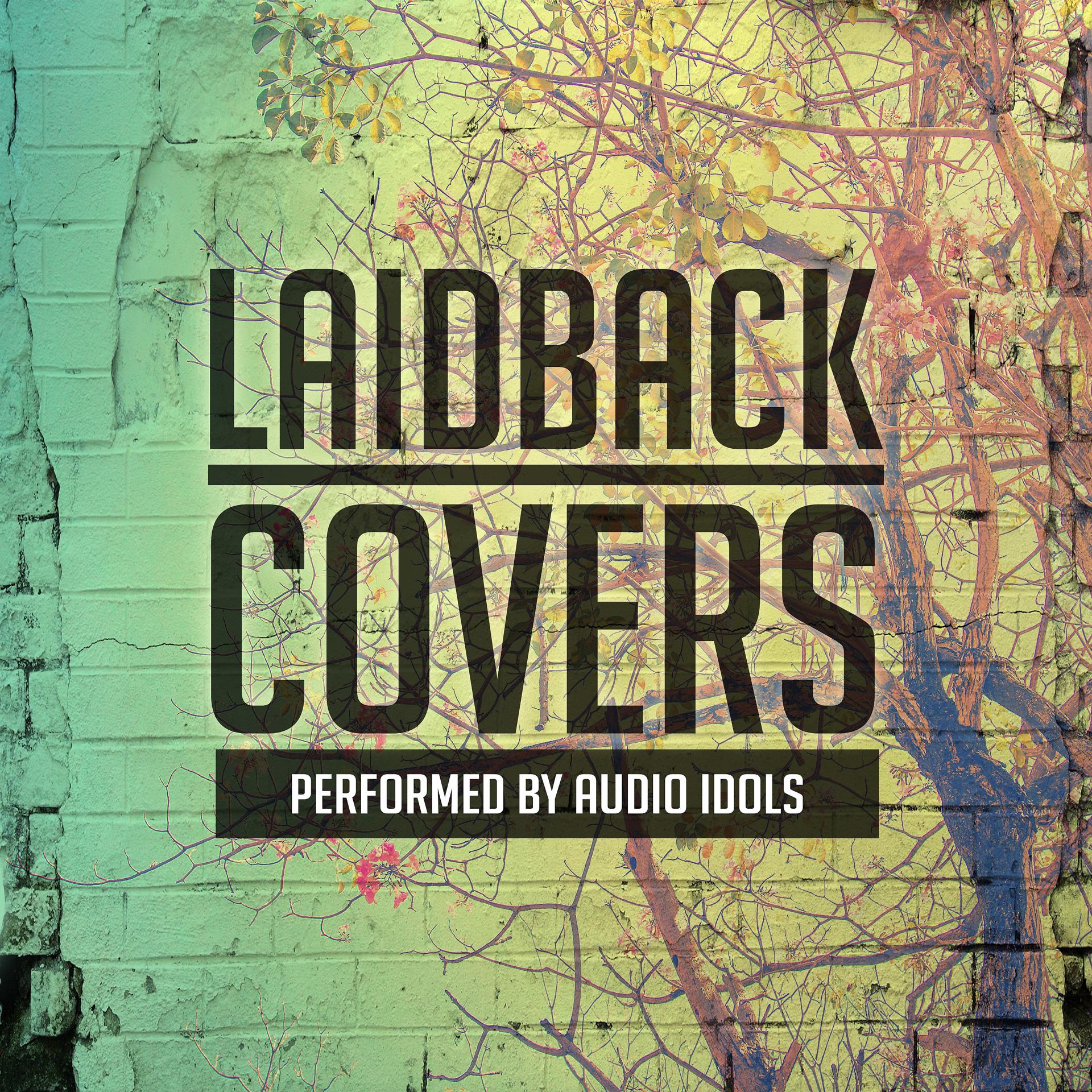 Постер альбома Laidback Covers