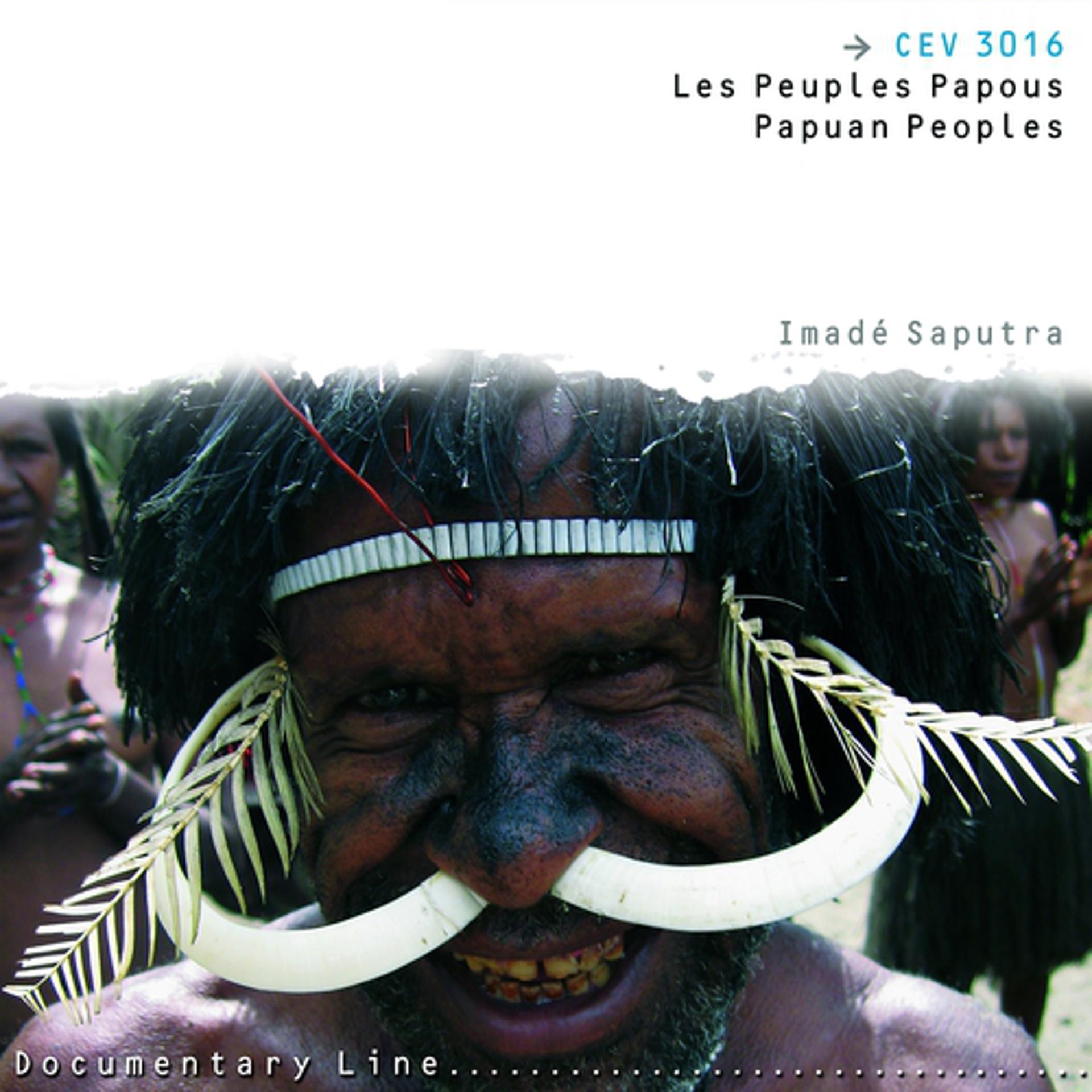 Постер альбома Peuples papous