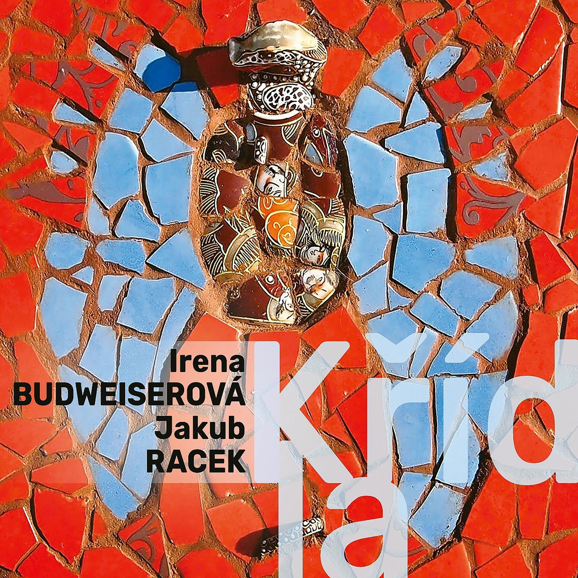 Постер альбома Křídla
