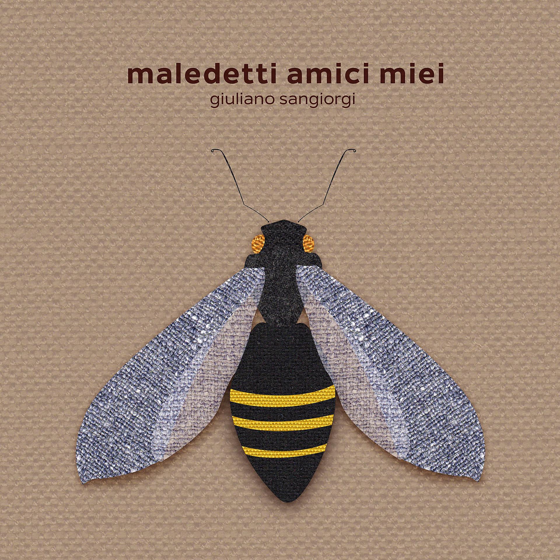 Постер альбома Maledetti amici miei