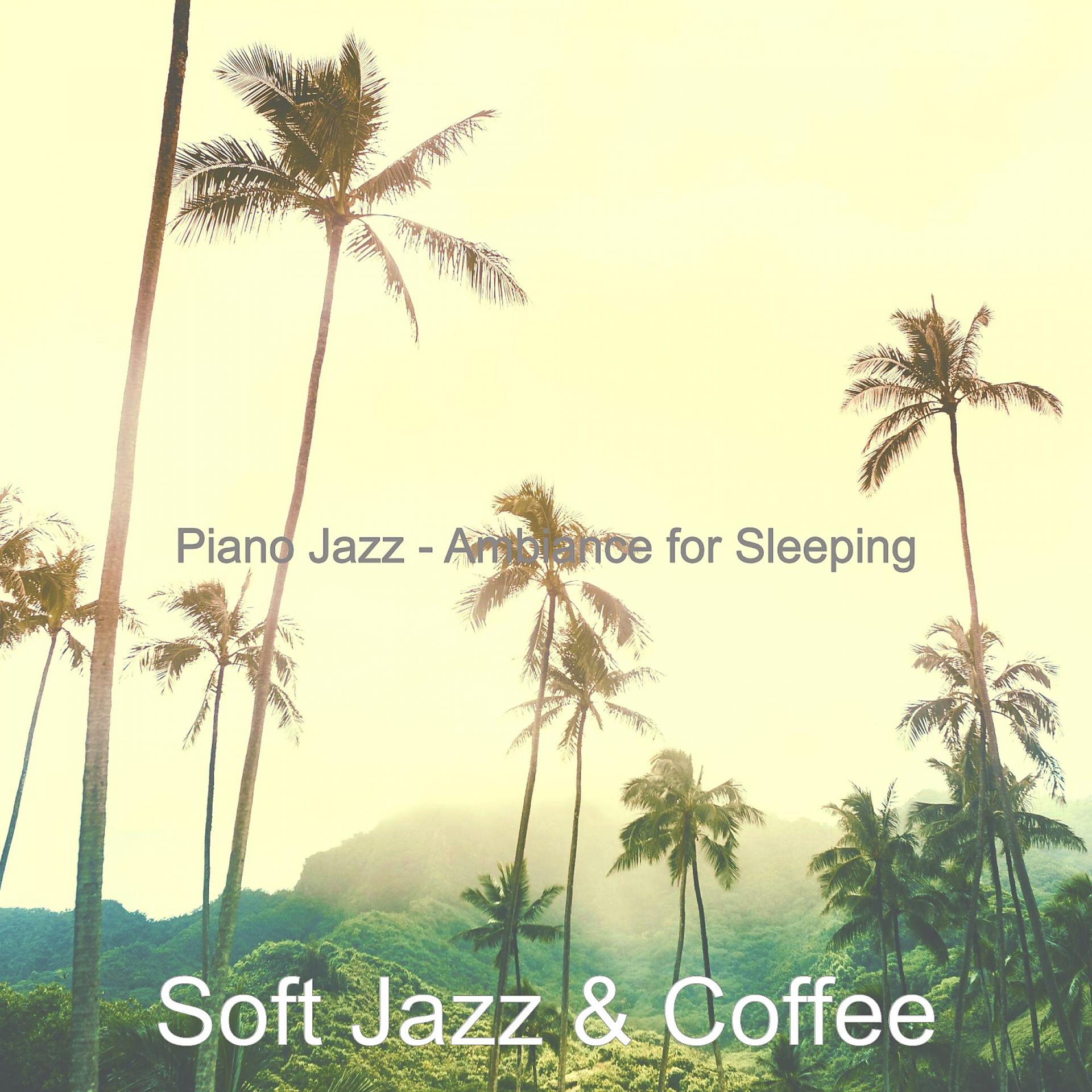 Постер альбома Piano Jazz - Ambiance for Sleeping