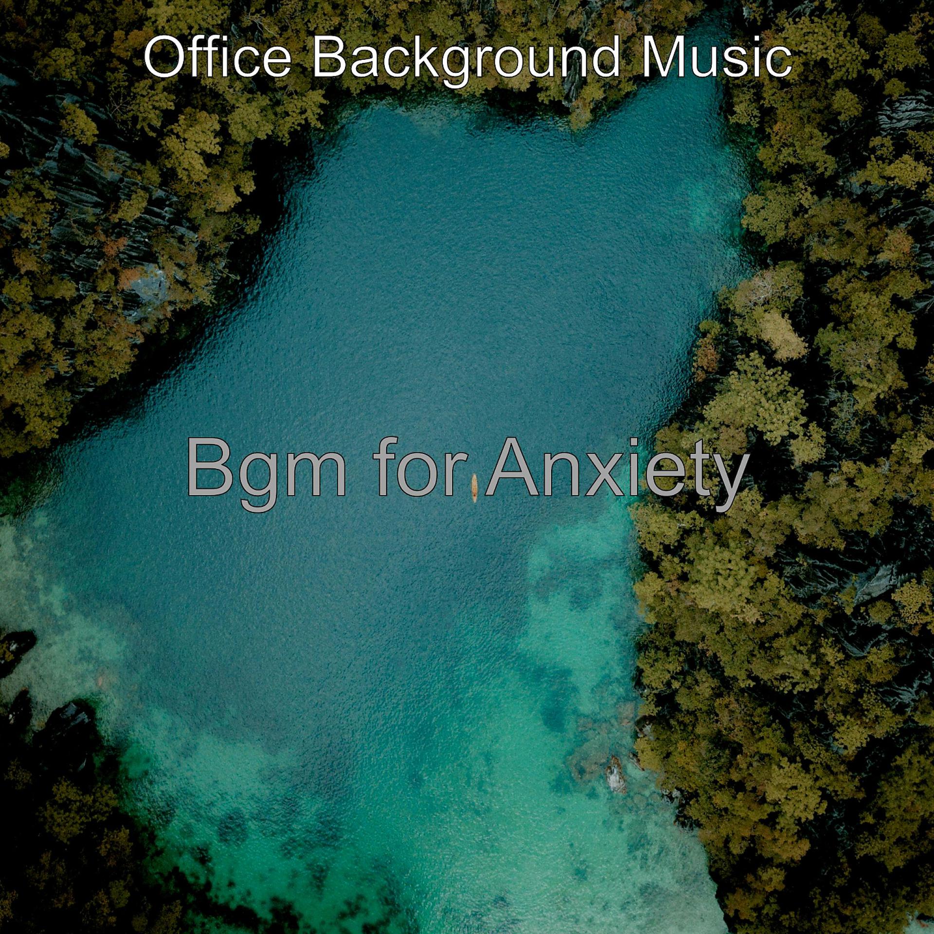 Постер альбома Bgm for Anxiety
