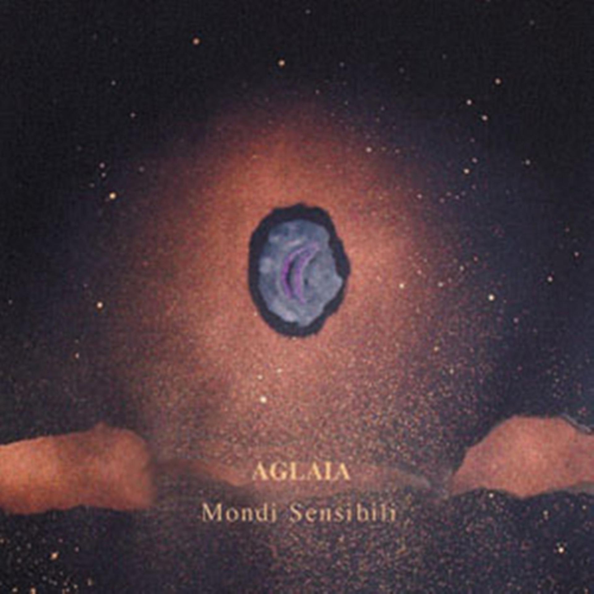 Постер альбома Mondi Sensibili