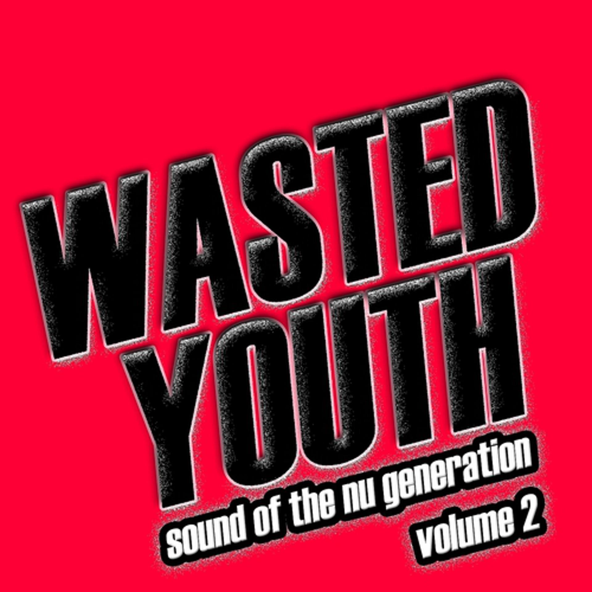 Постер альбома Wasted Youth, Vol. 2