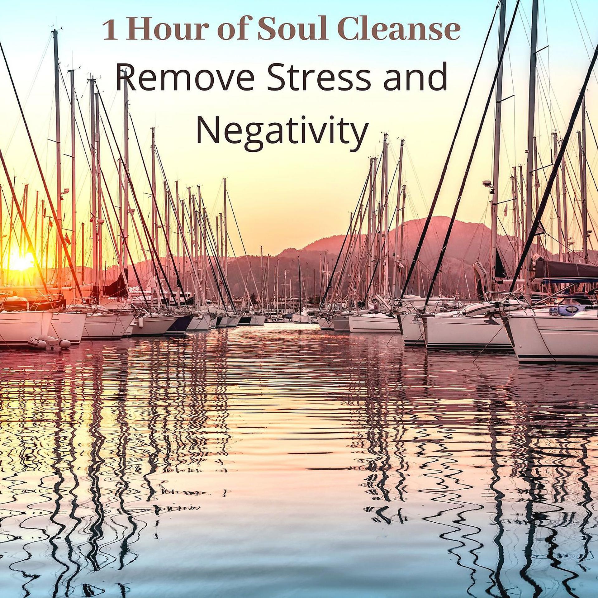 Постер альбома 1 Hour of Soul Cleanse: Remove Stress and Negativity, Sleep Meditation Healing Music