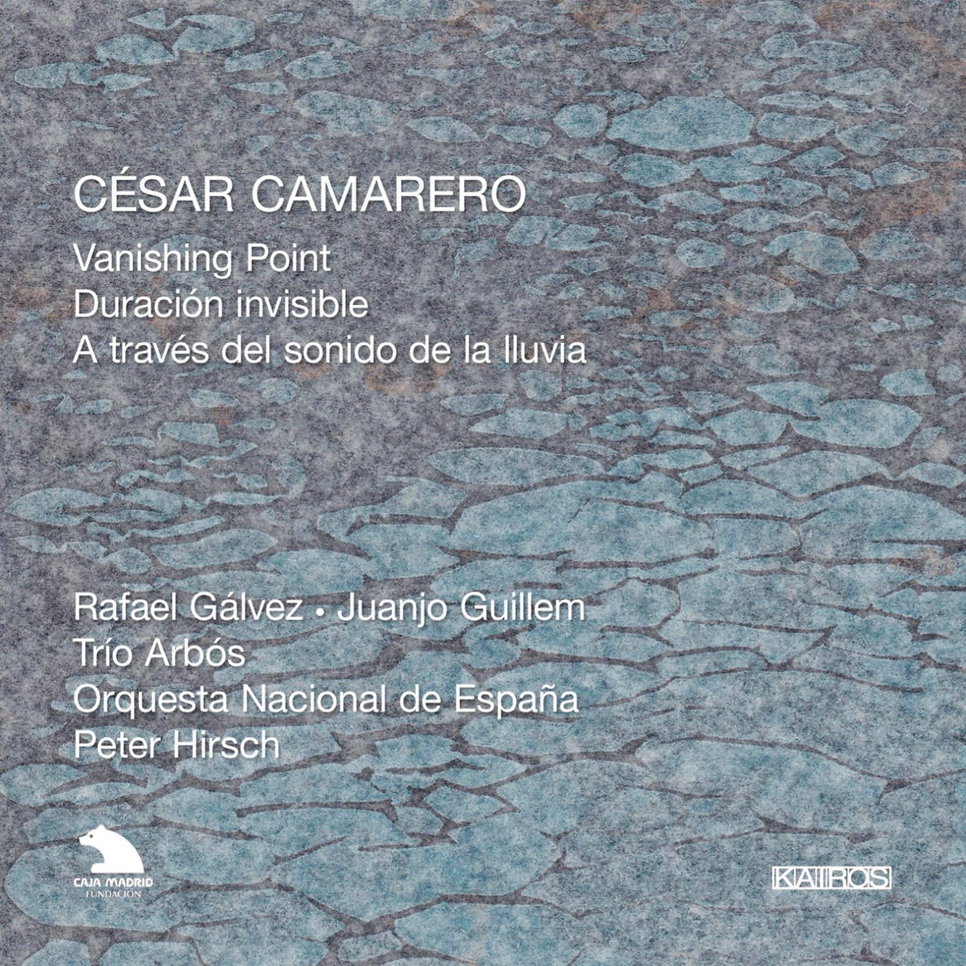 Постер альбома Camarero: Vanishing Point, Duracion invisible & A través del sonido de la lluvia