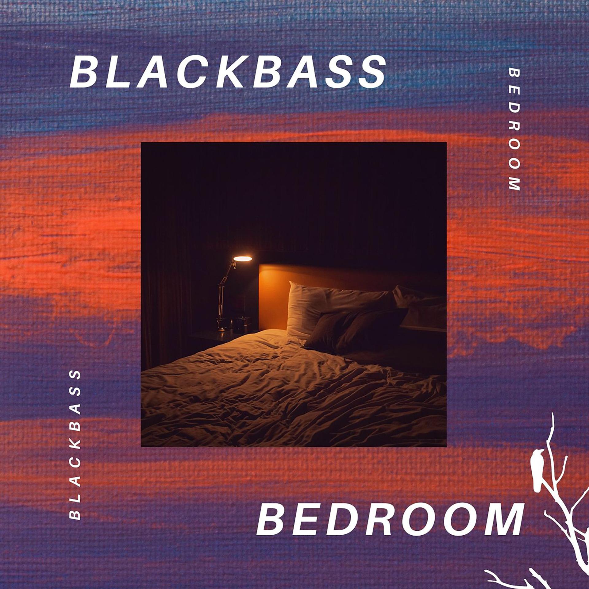 Постер альбома Bedroom