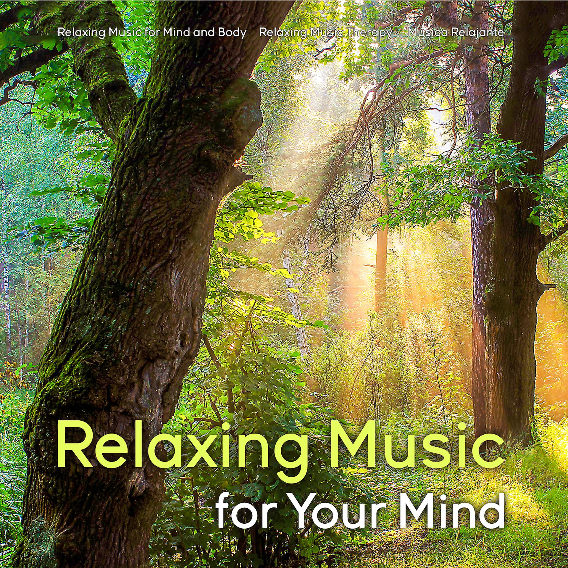 Постер альбома Relaxing Music for Your Mind