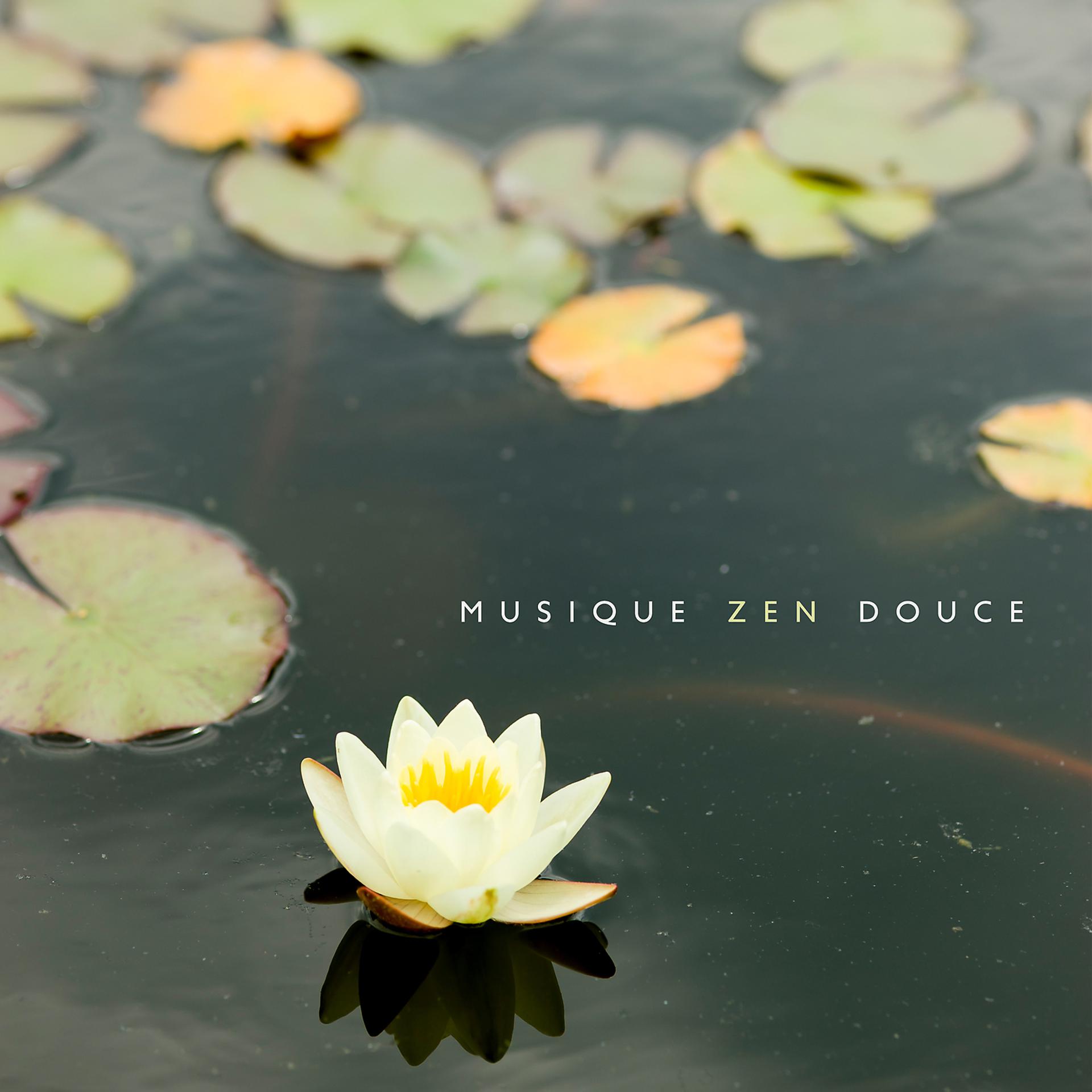 Постер альбома Musique zen douce: Arrêter de penser, Détente et relaxation pour dormir profondement