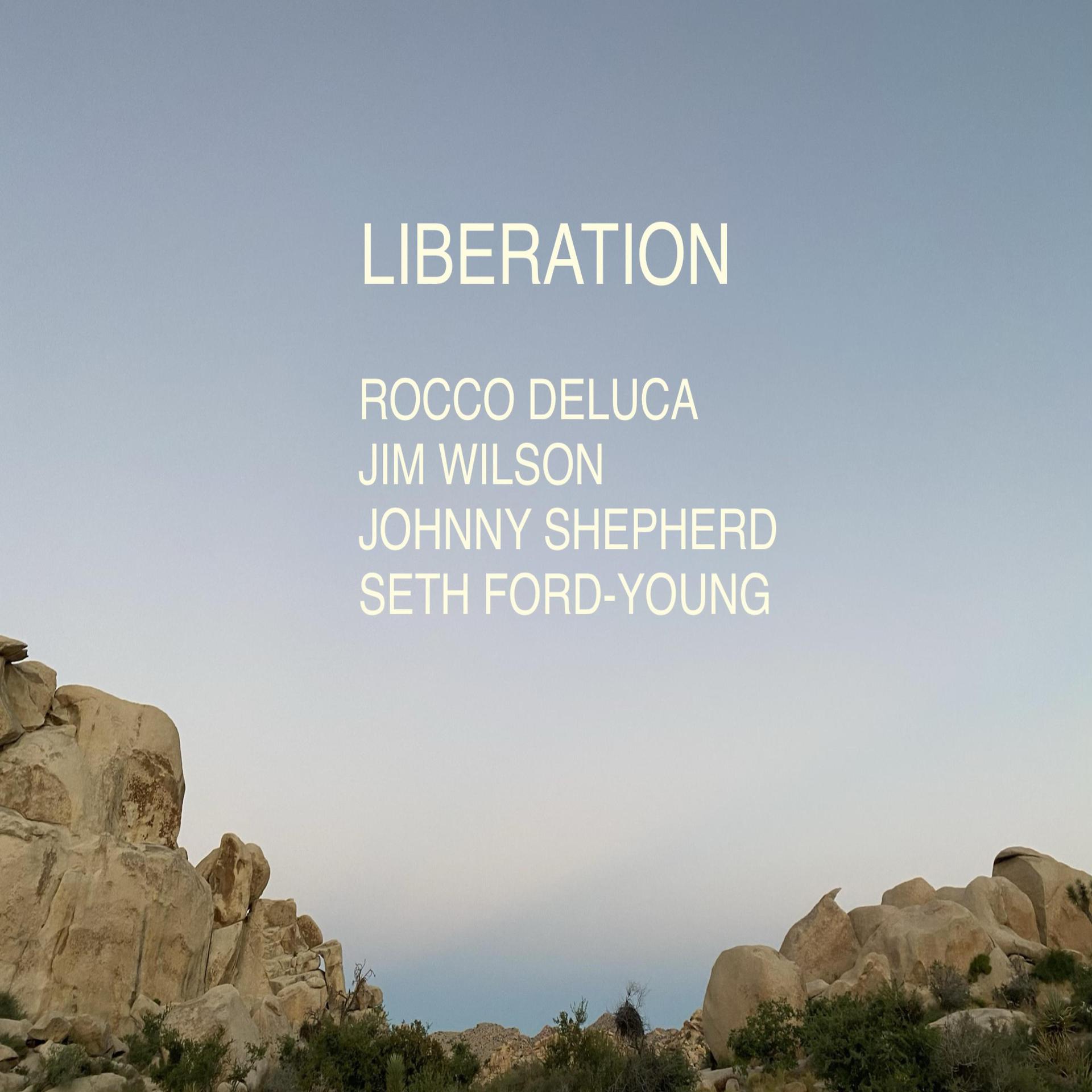 Постер альбома Liberation (Single)