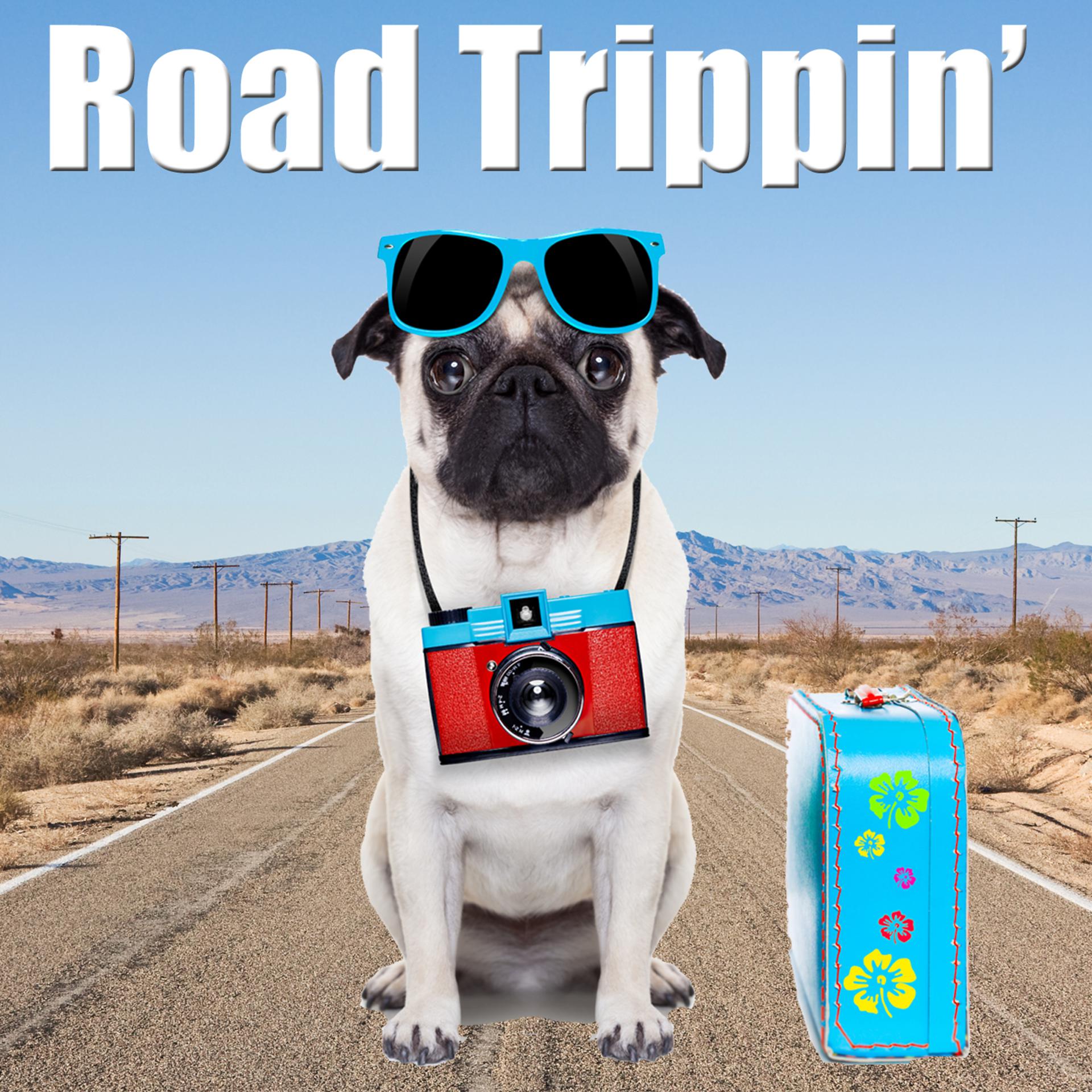 Постер альбома Road Trippin'