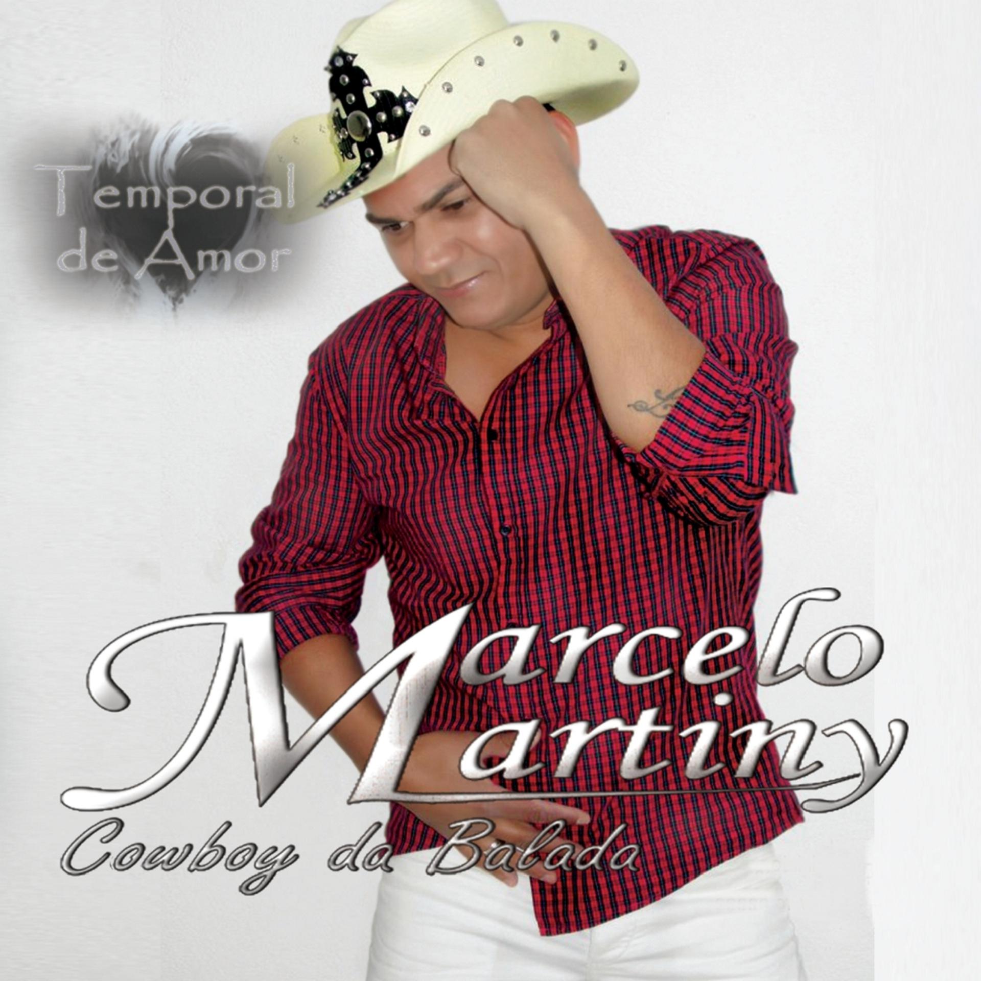 Постер альбома Temporal de Amor - Cowboy da Balada