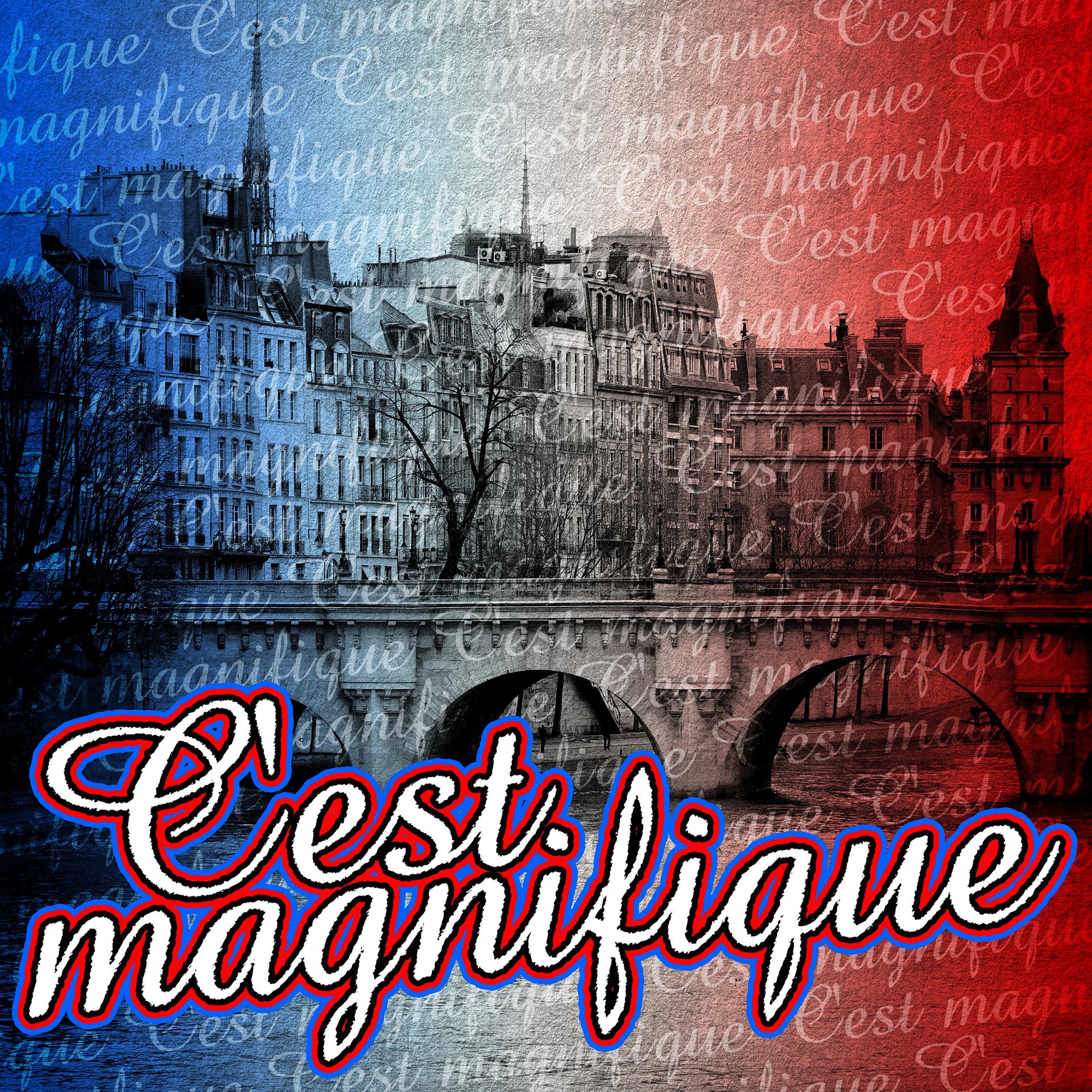 Постер альбома C'est magnifique