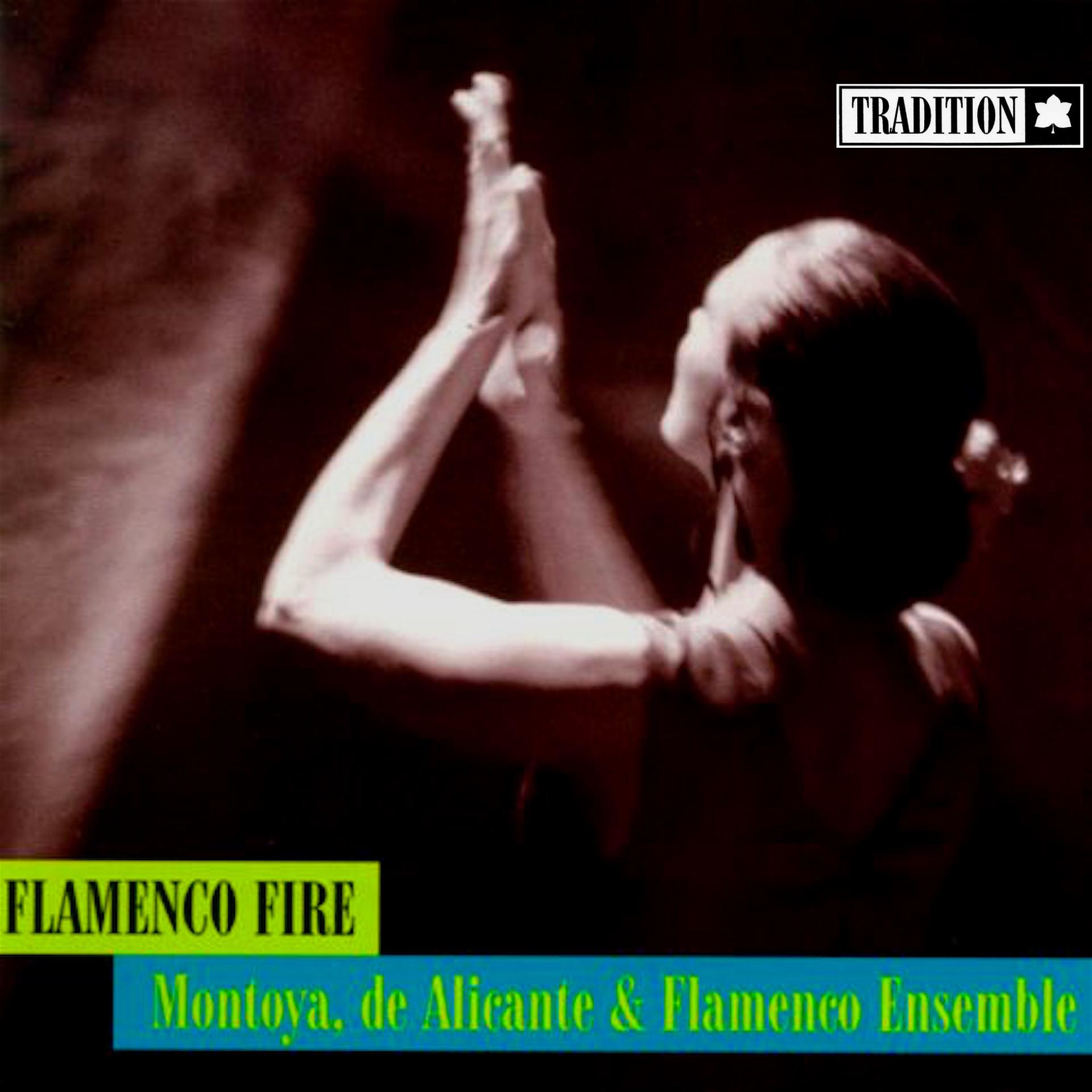 Постер альбома Flamenco Fire