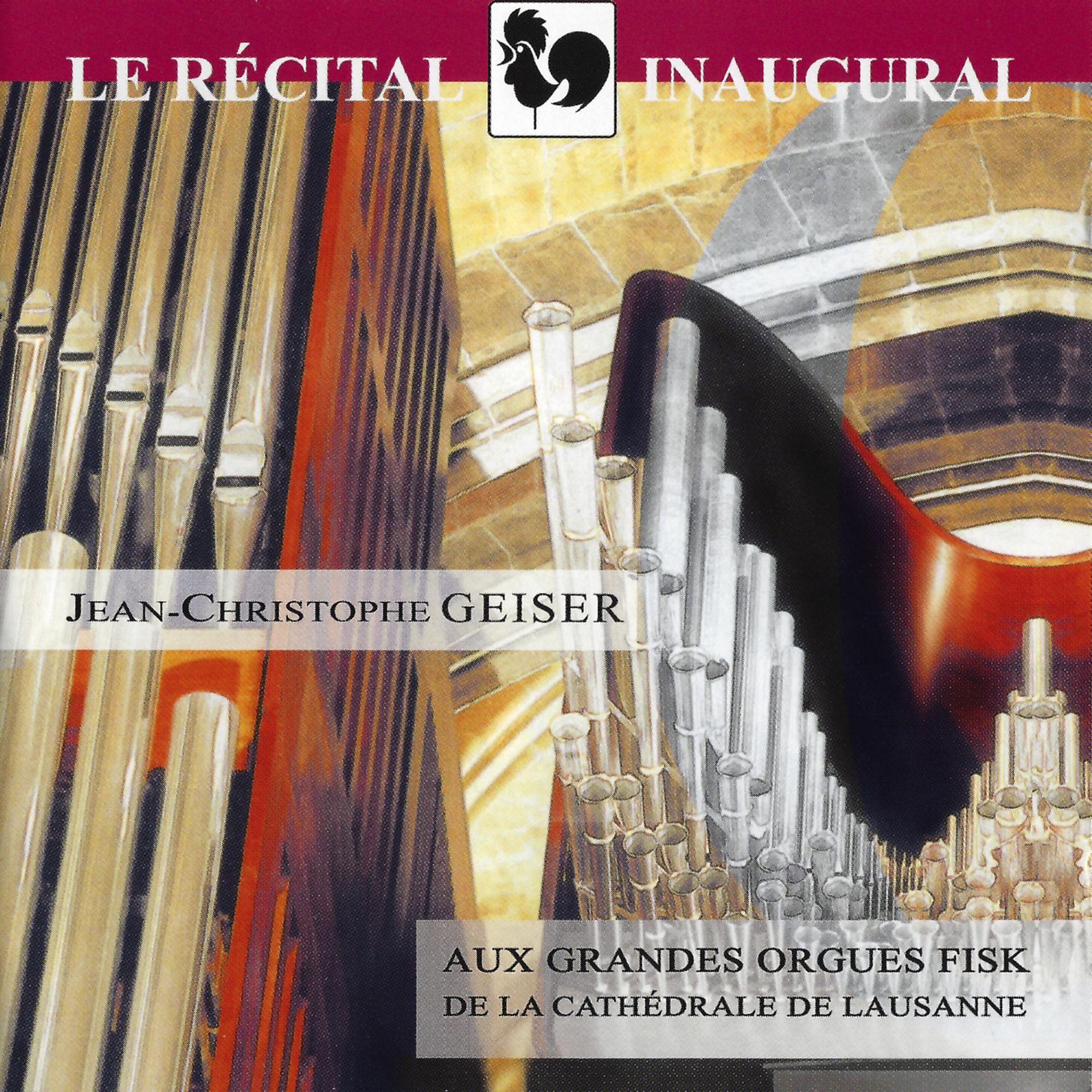 Постер альбома Bruhns, Bach, Wagner, Ropartz, Brahms & Duruflé: Les Grandes Orgues Fisk de la Cathédrale de Lausanne (Fisk Organ of the Cathedral of Lausanne)