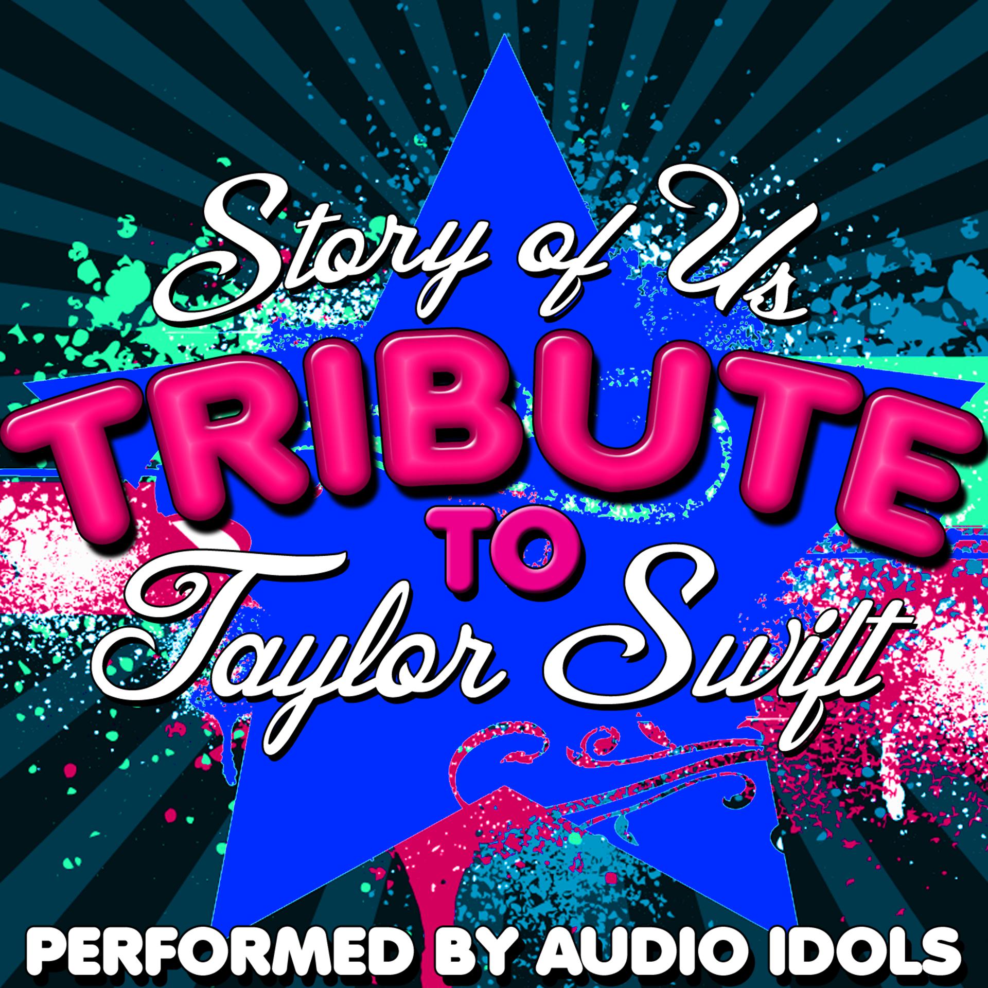 Постер альбома Story of Us: Tribute to Taylor Swift