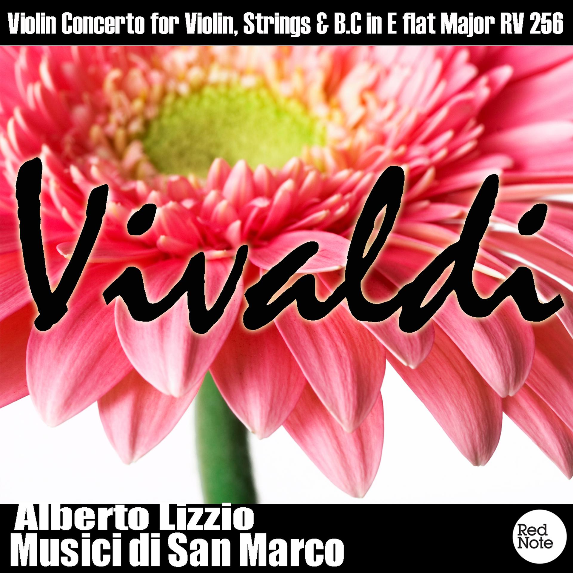 Постер альбома Vivaldi: Violin Concerto for Violin, Strings & B.C in E flat Major RV 256