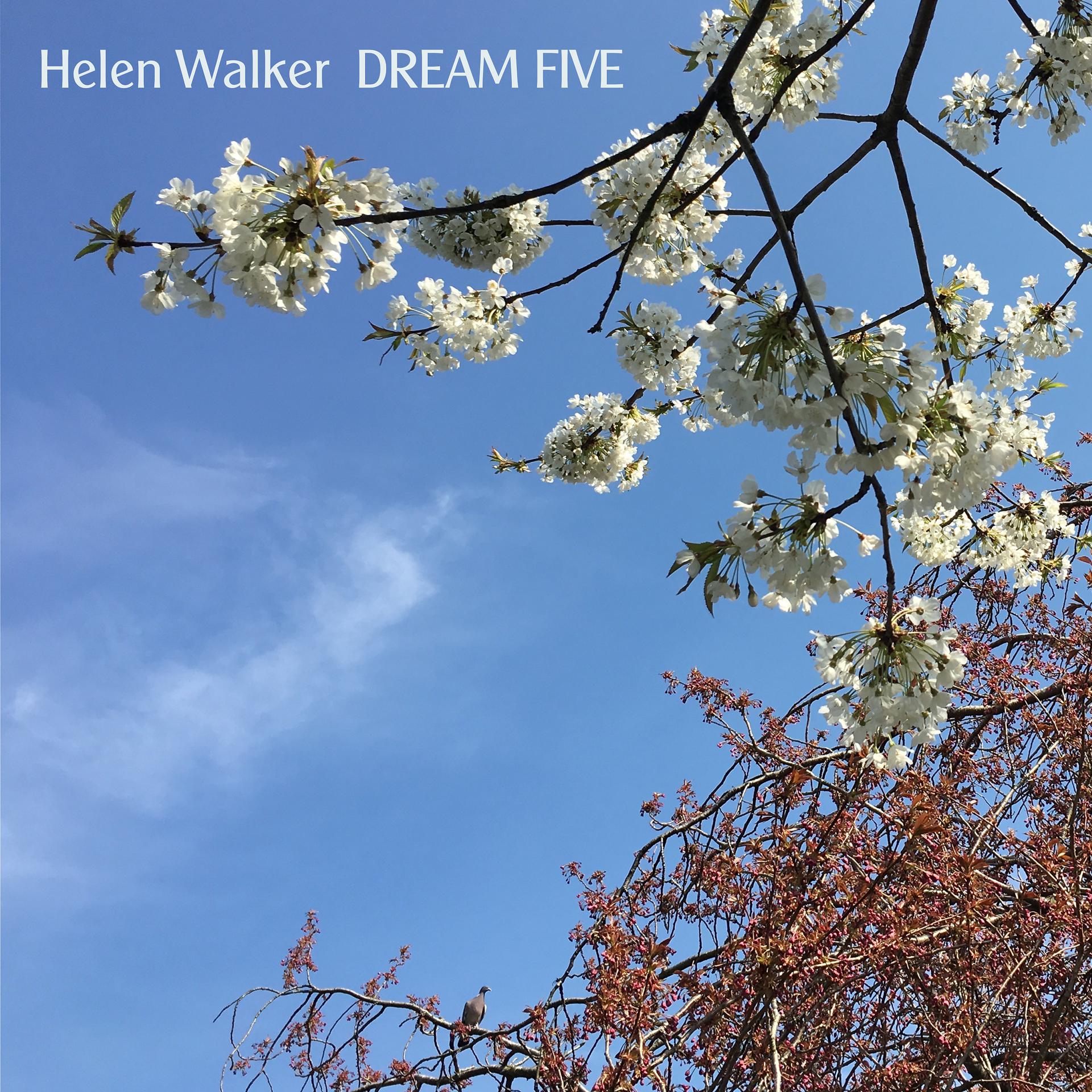 Постер альбома Dream Five - Single