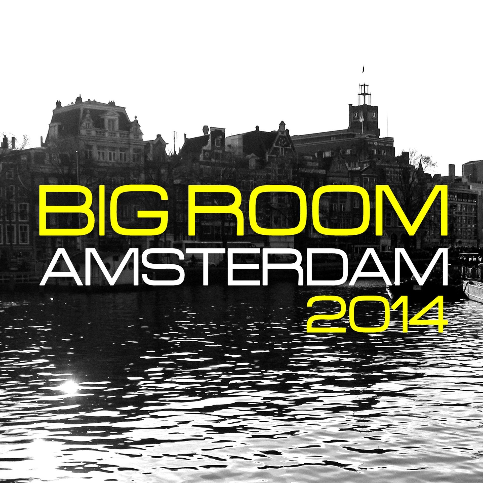Постер альбома Big Room Amsterdam 2014