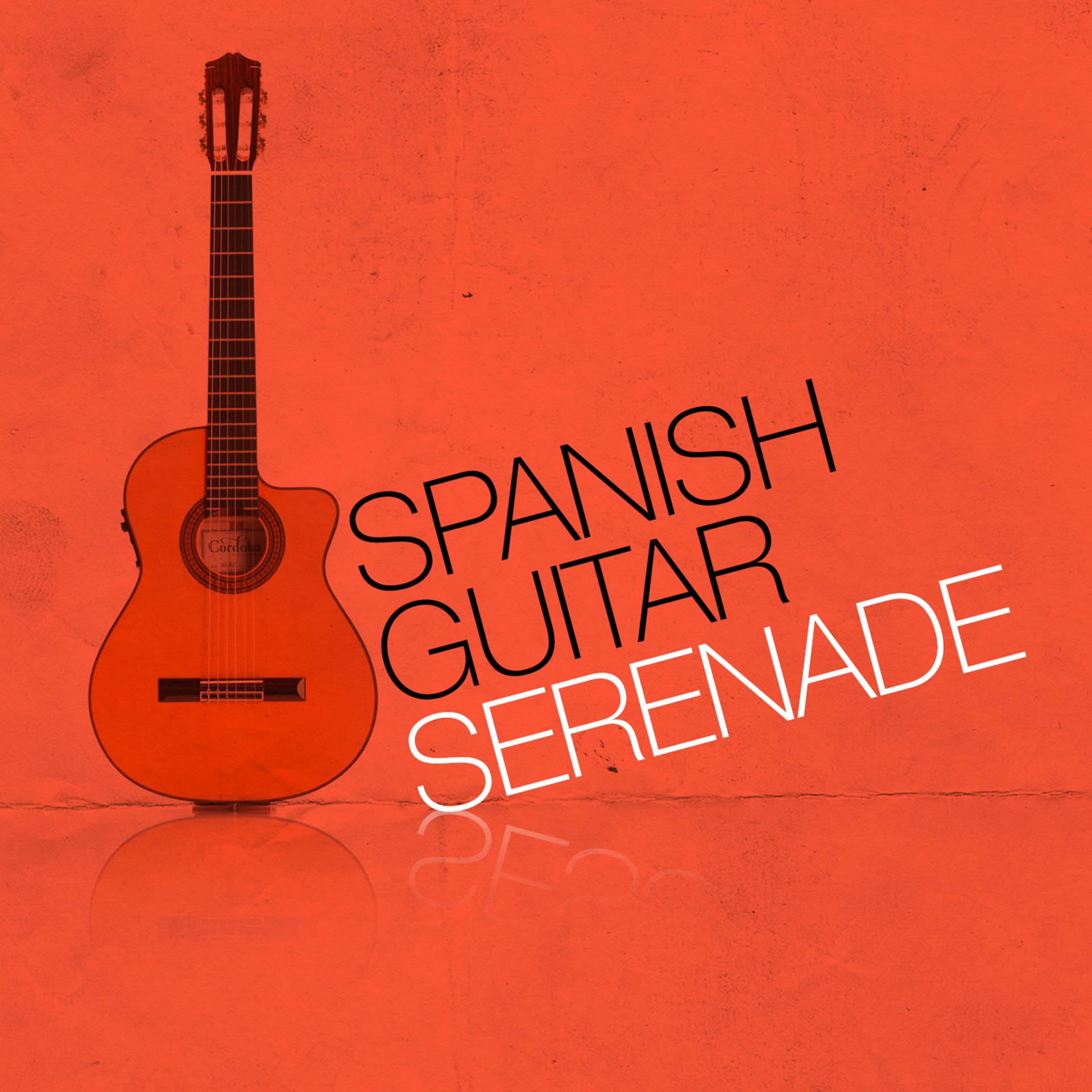 Постер альбома Spanish Guitar Serenade
