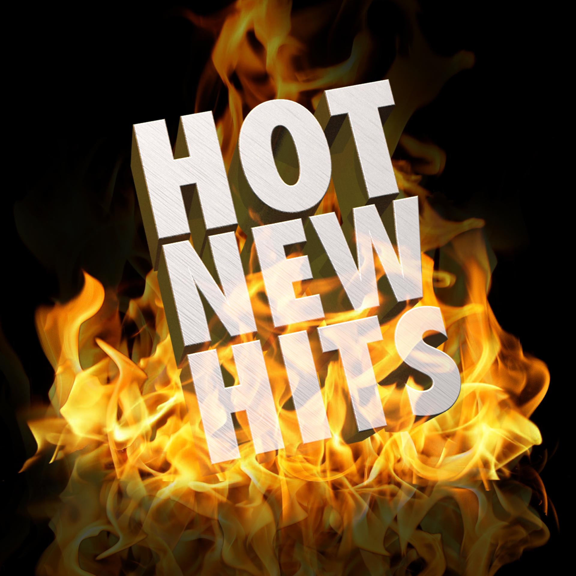 Постер альбома Hot New Hits