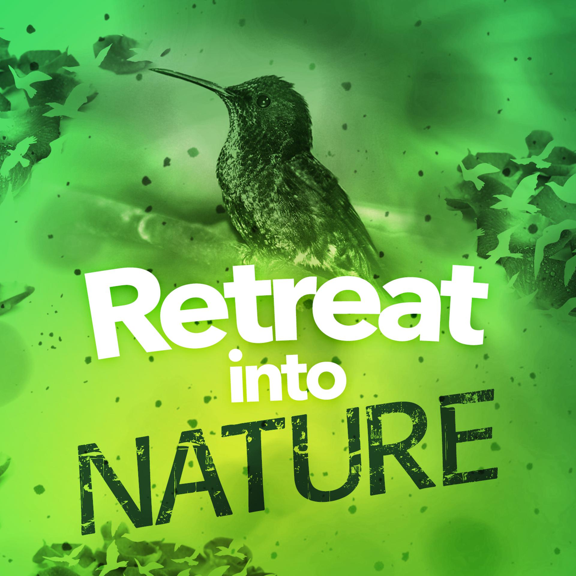 Постер альбома Retreat into Nature
