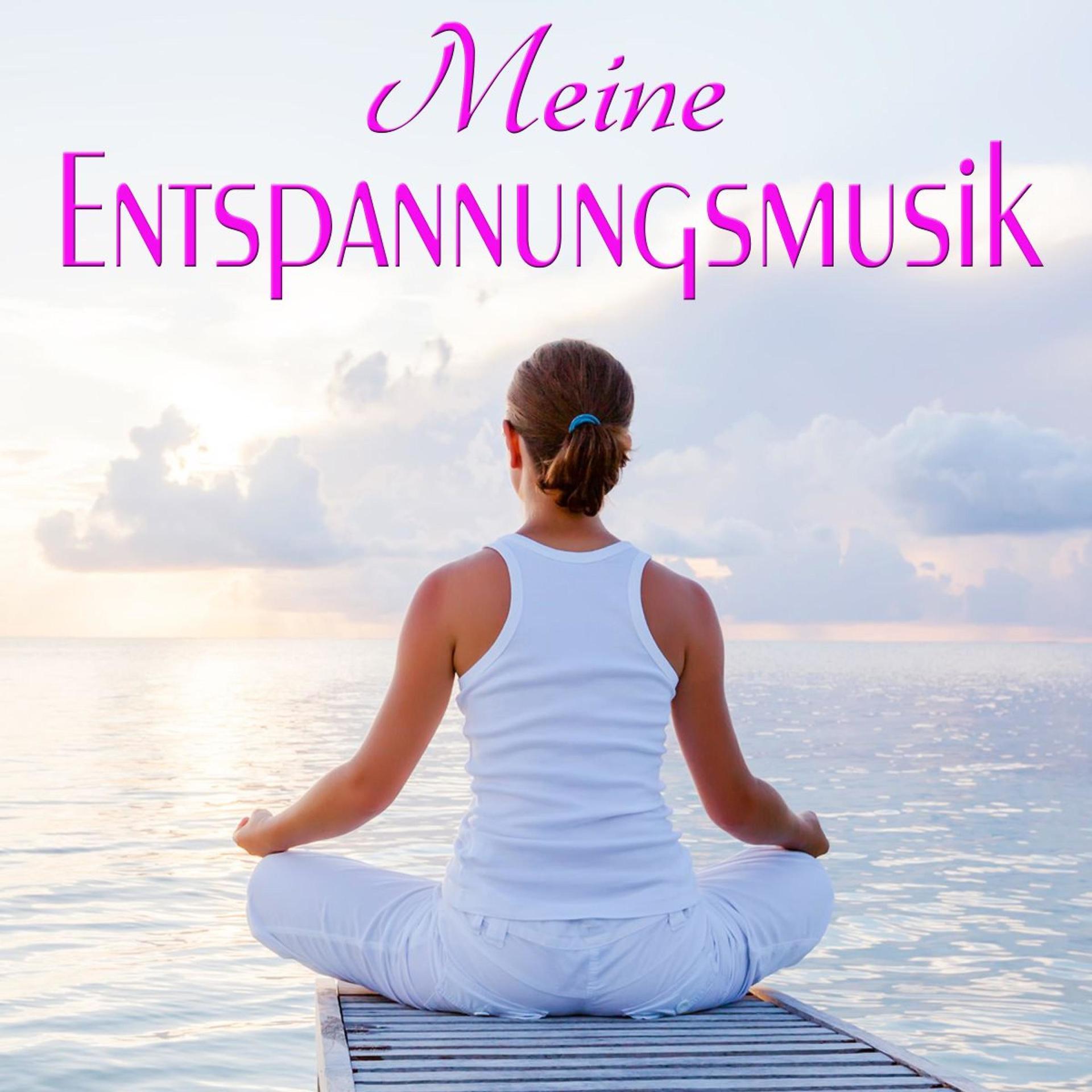 Постер альбома Meine Entspannungsmusik
