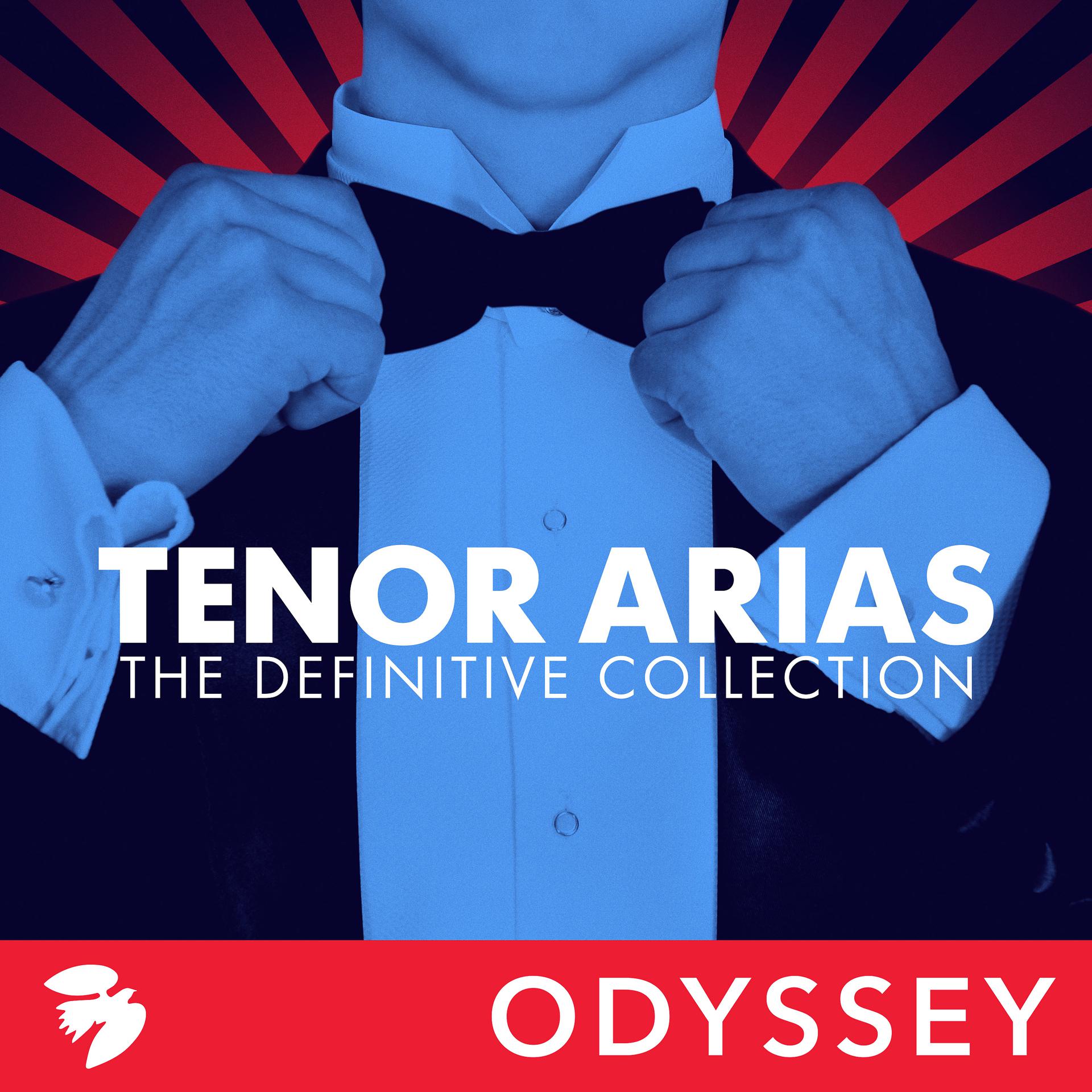 Постер альбома Tenor Arias: The Definitive Collection