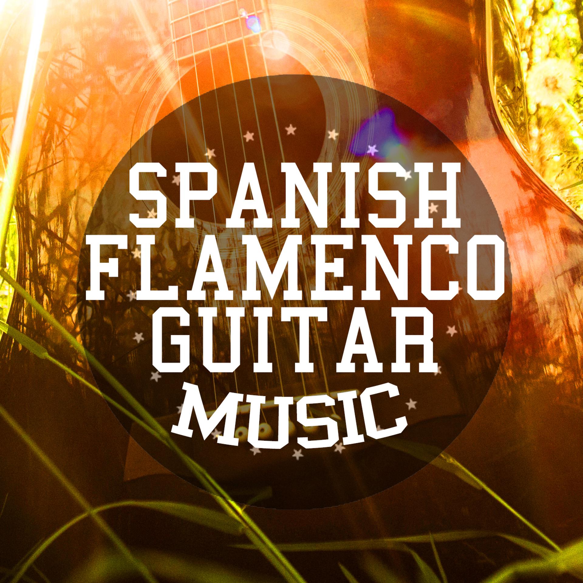 Постер альбома Spanish Flamenco Guitar Music
