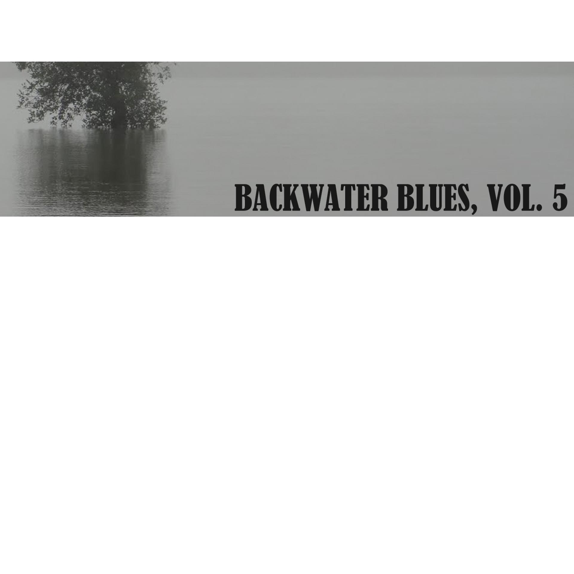 Постер альбома Backwater Blues, Vol. 5