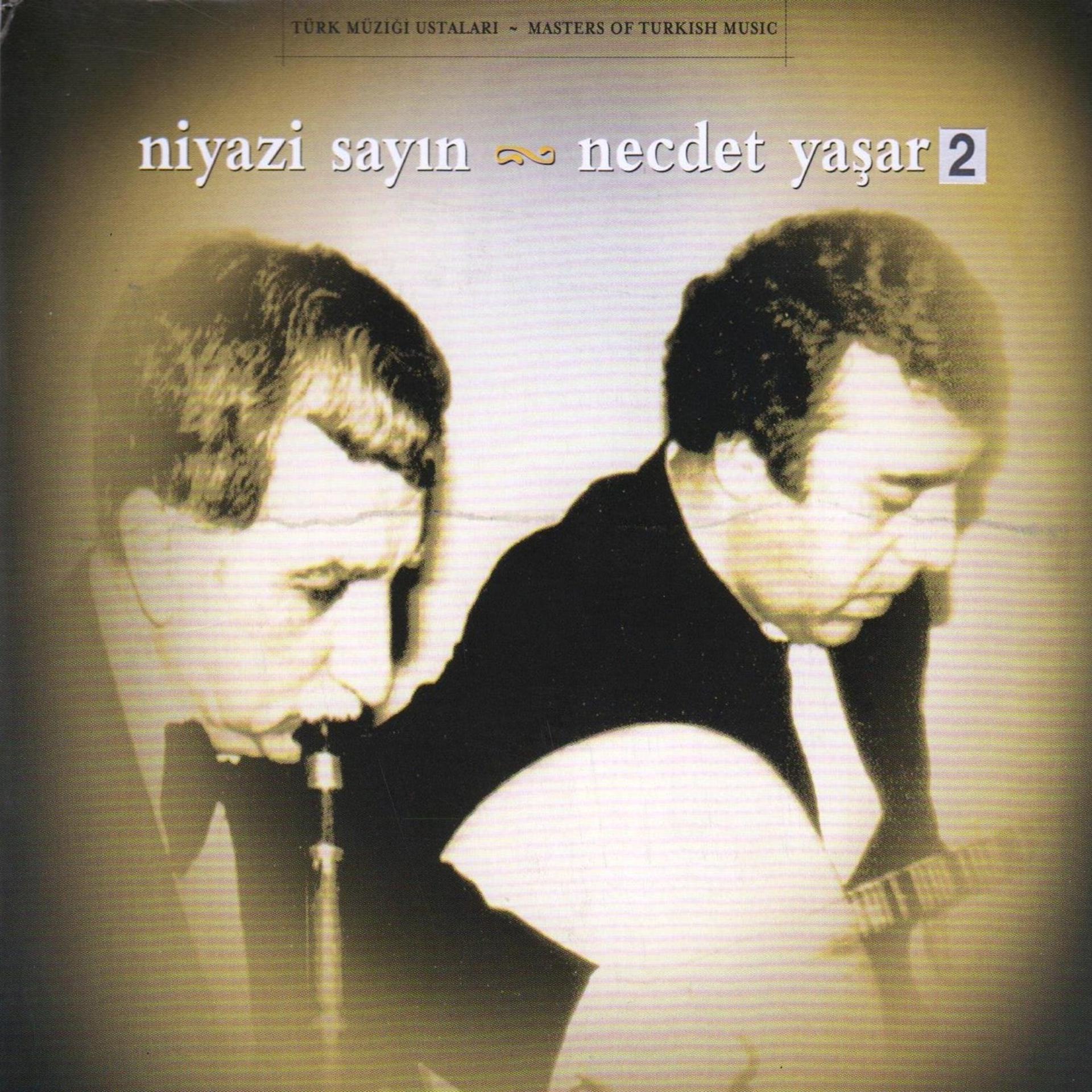 Постер альбома Niyazi Sayın & Necdet Yaşar, No. 2