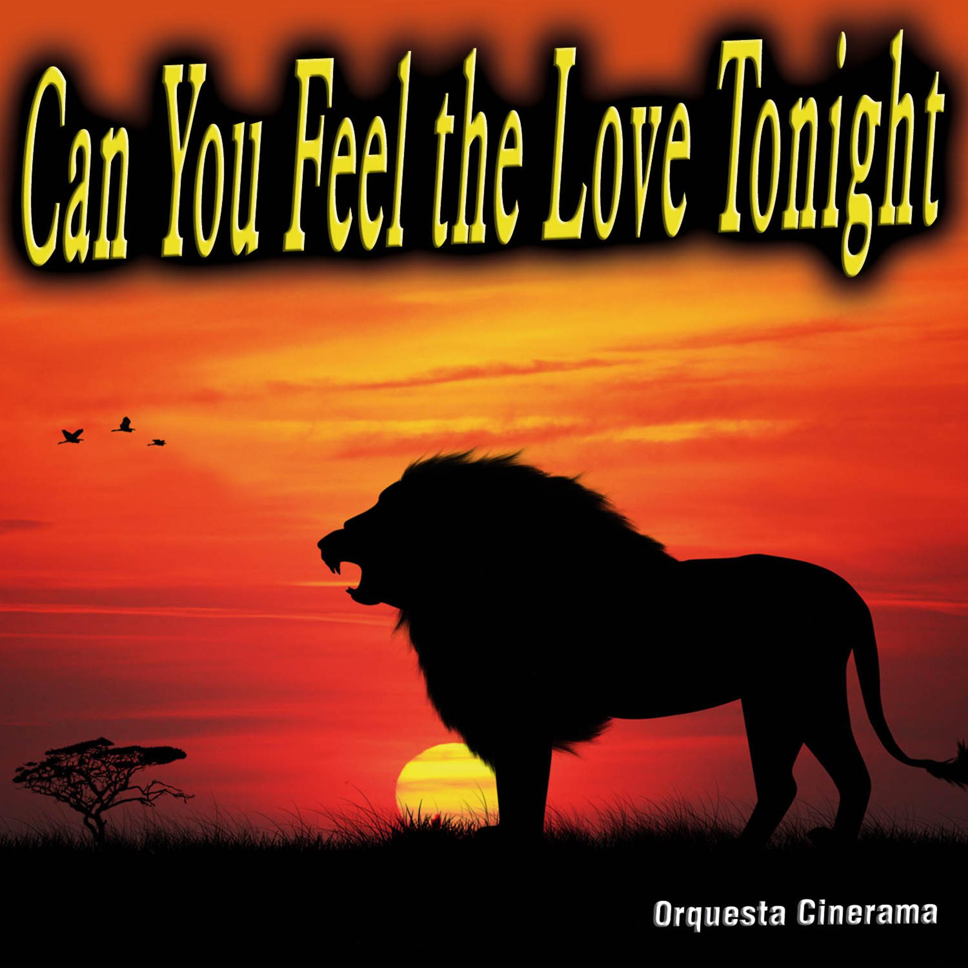 Постер альбома Can You Feel the Love Tonight - Single