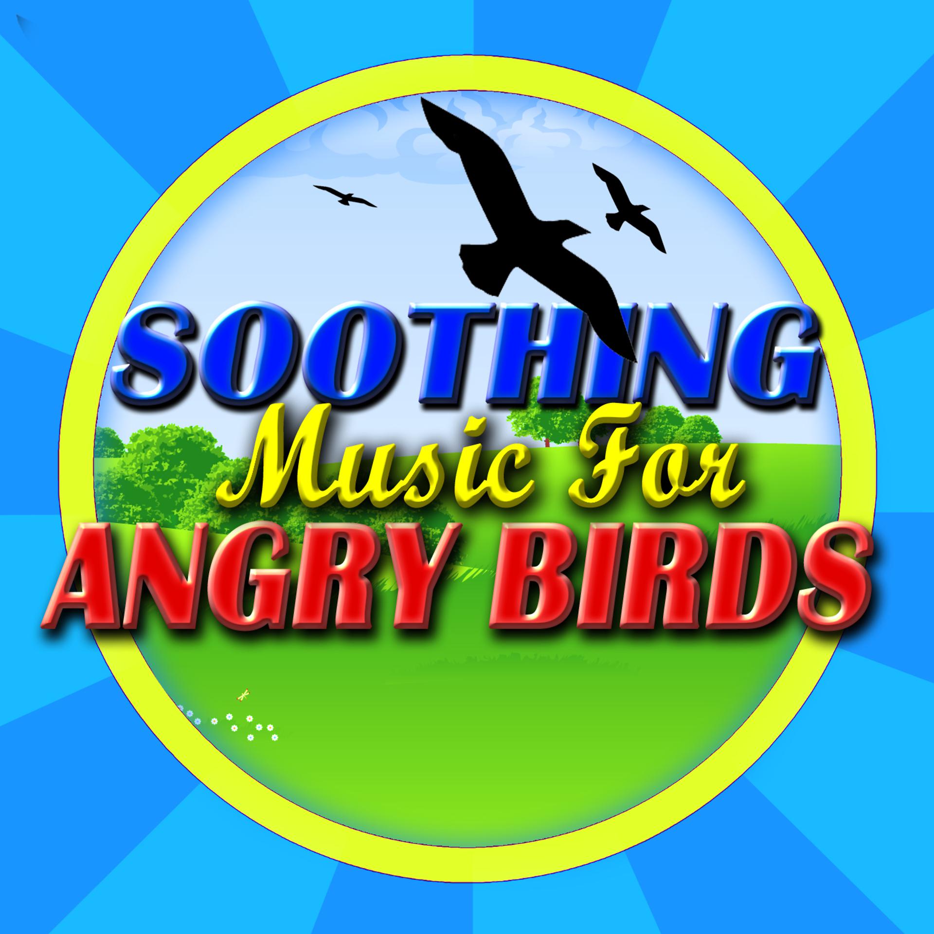 Постер альбома Soothing Music For Angry Birds