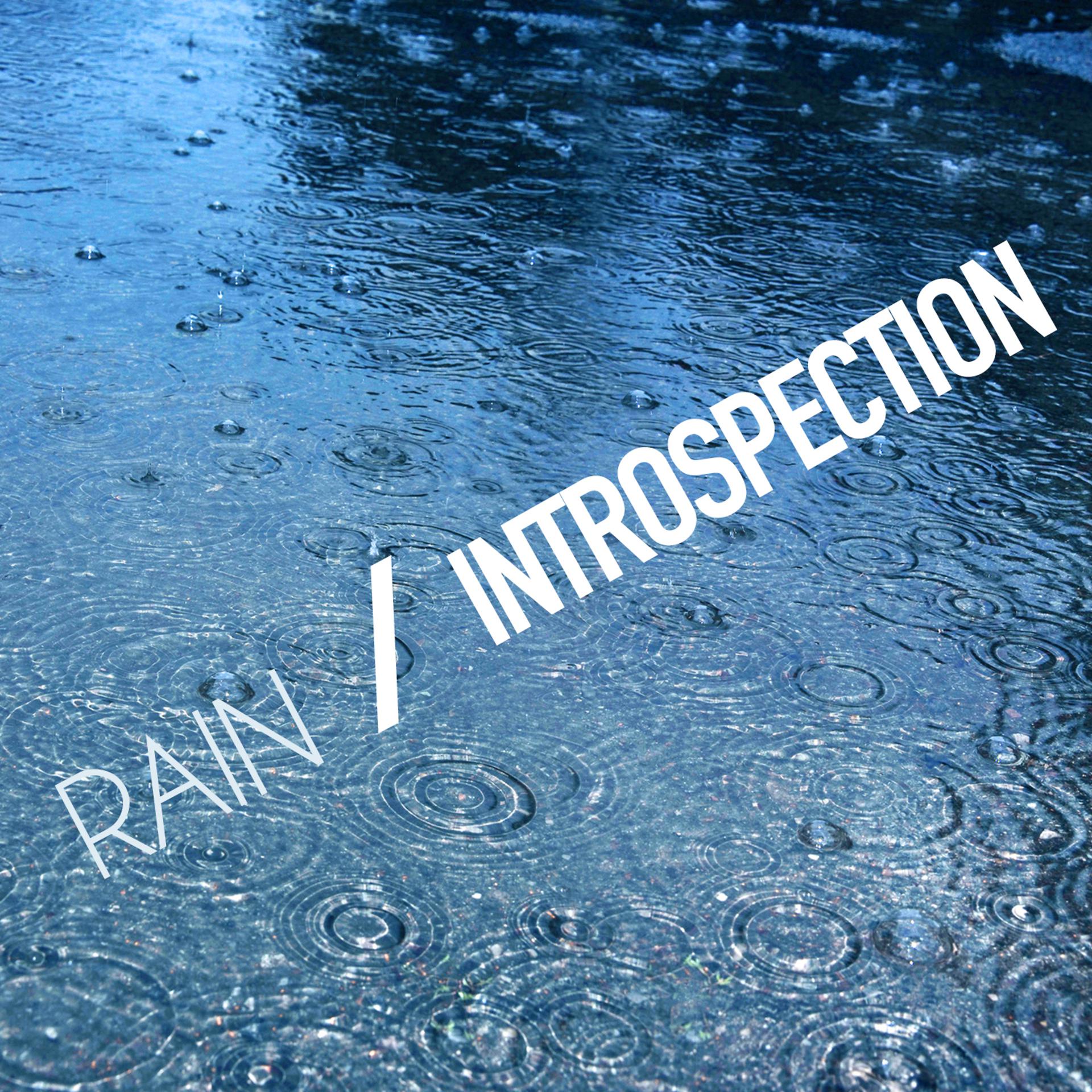 Постер альбома Rain: Introspection