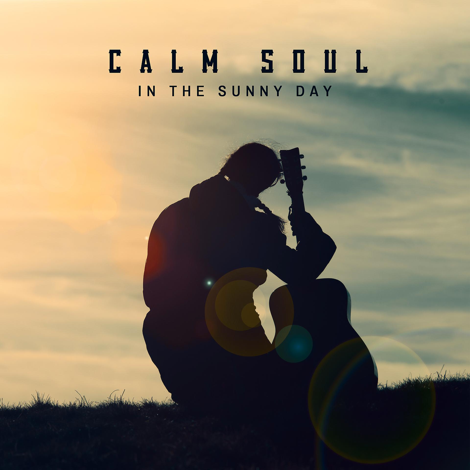 Постер альбома Calm Soul in the Sunny Day
