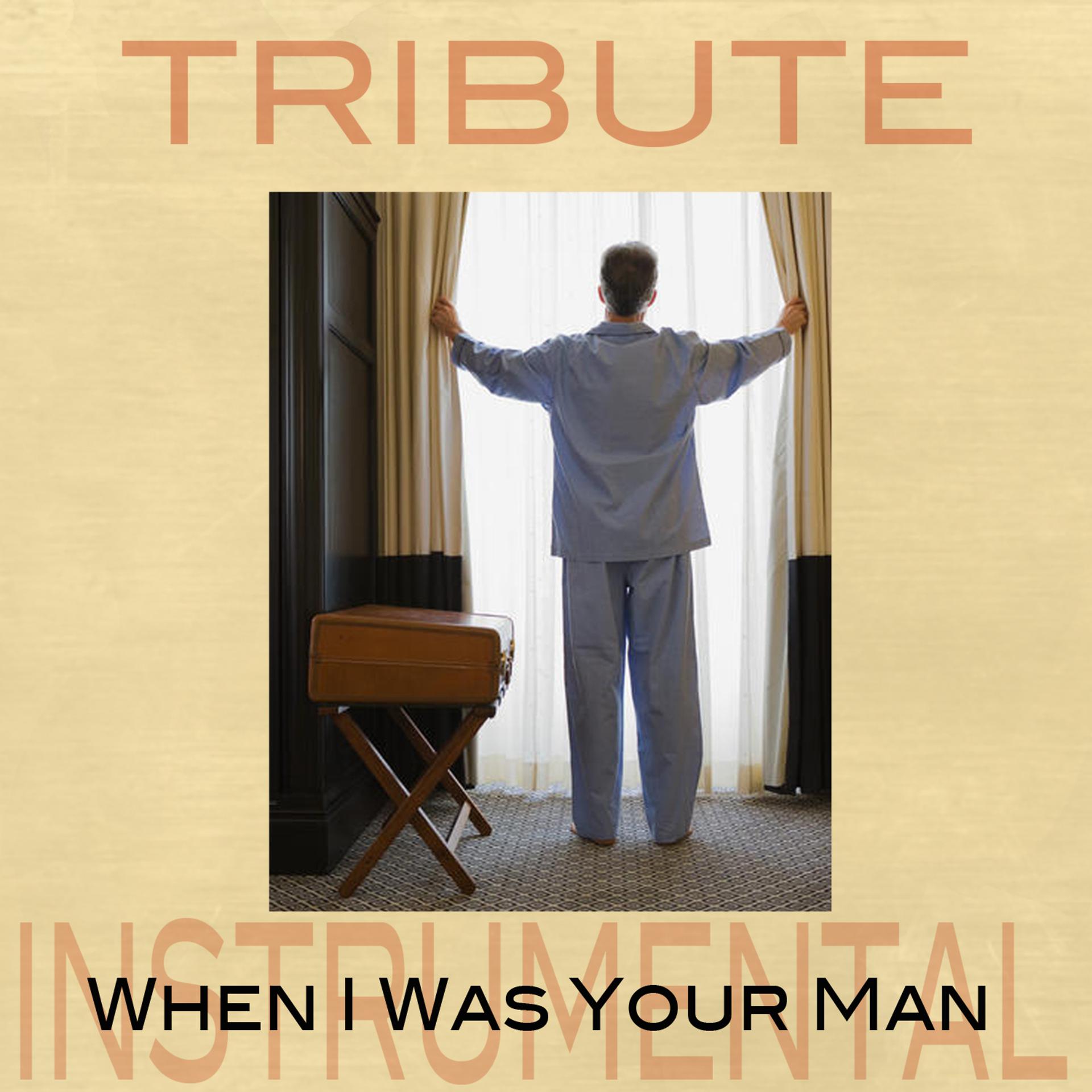 Постер альбома When I Was Your Man (Tribute to Bruno Mars) [Instrumental] - Single