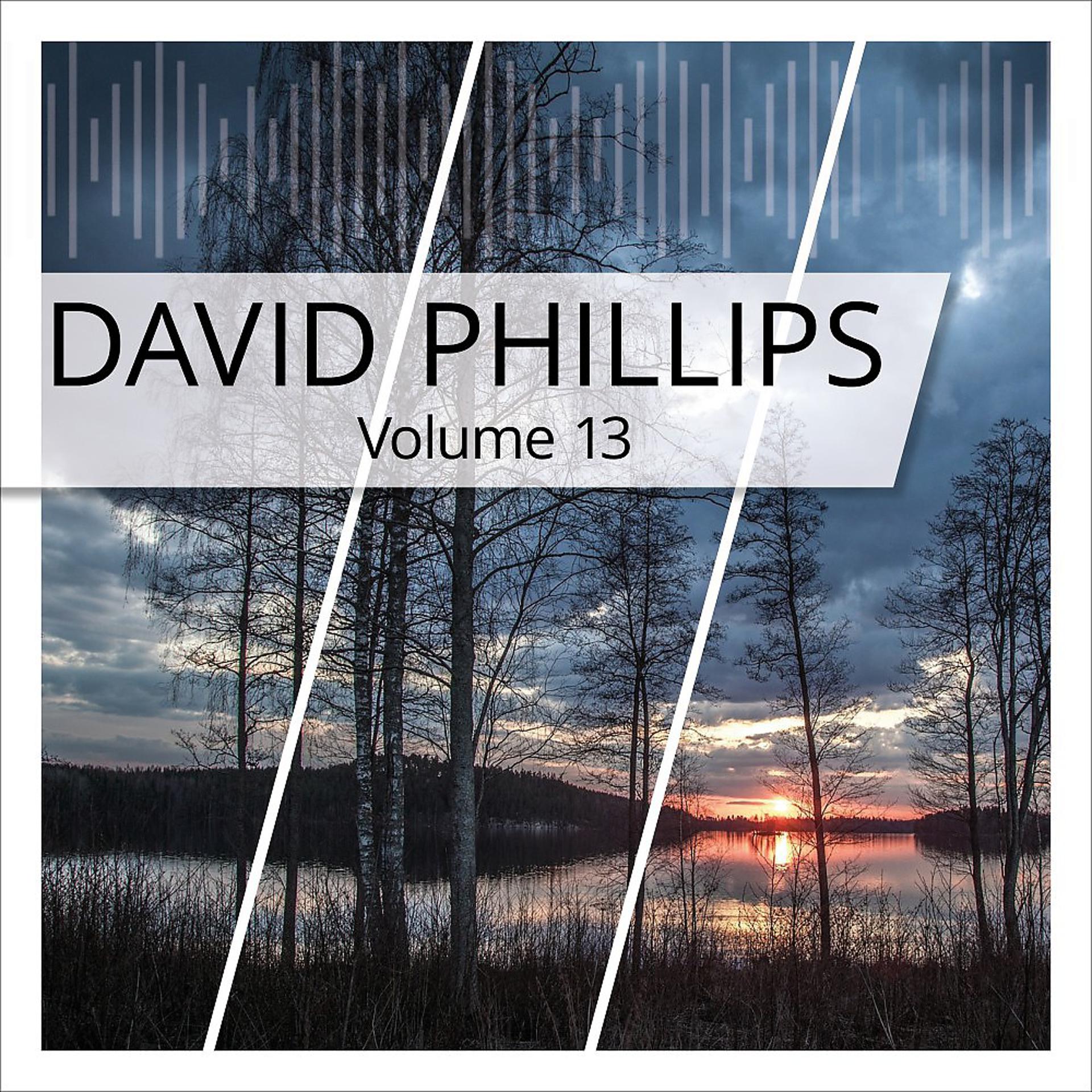 Постер альбома David Phillips, Vol. 13
