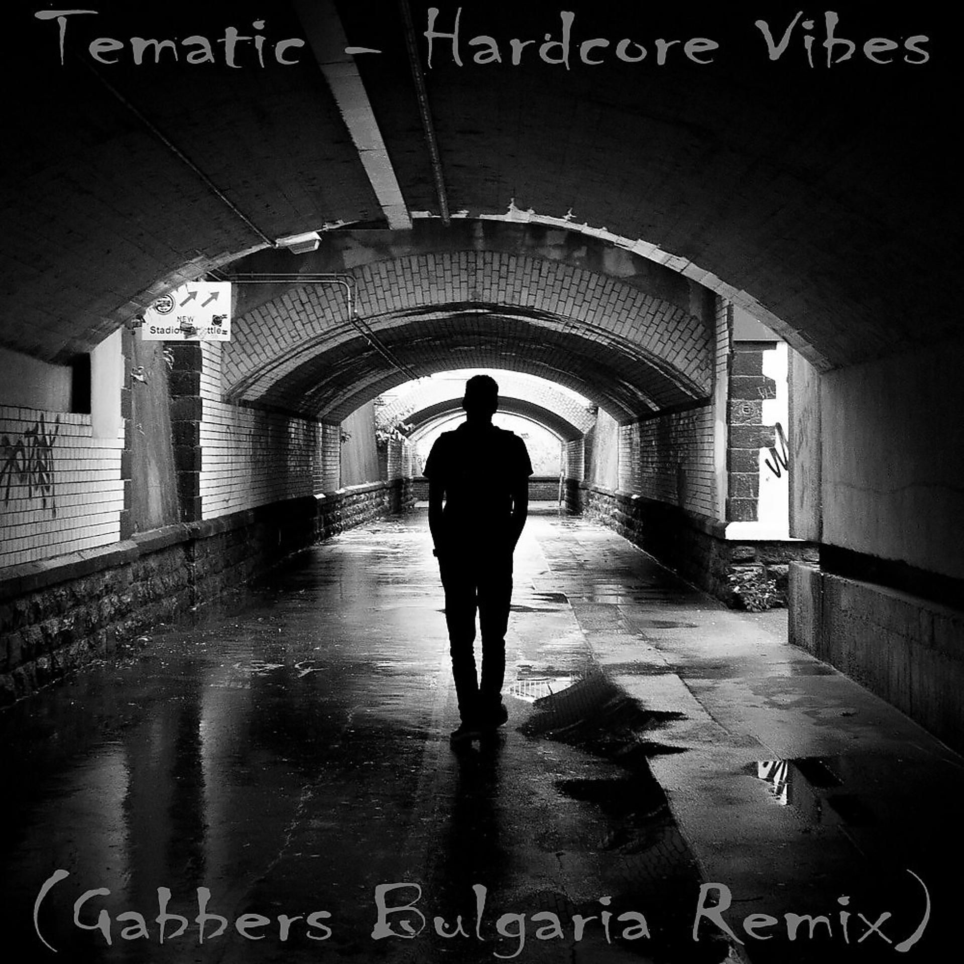 Постер альбома Hardcore Vibes (Gabbers Bulgaria Remix)