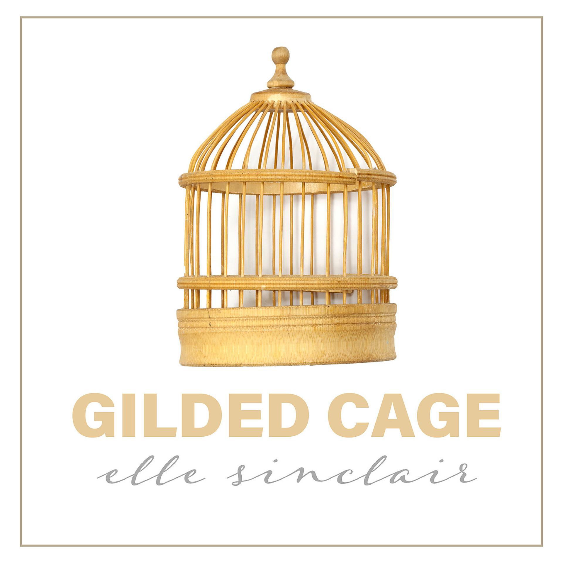 Постер альбома Gilded Cage