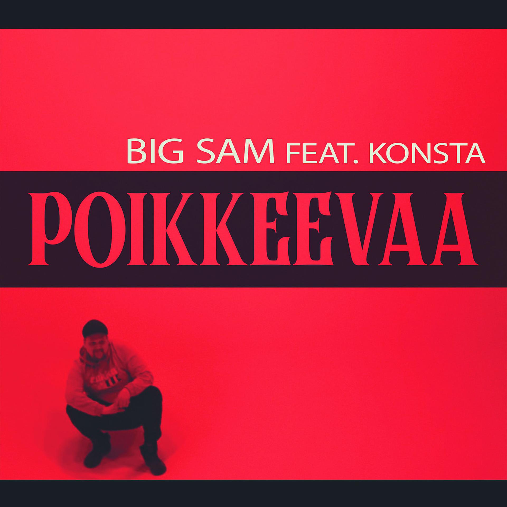 Постер альбома Poikkeevaa