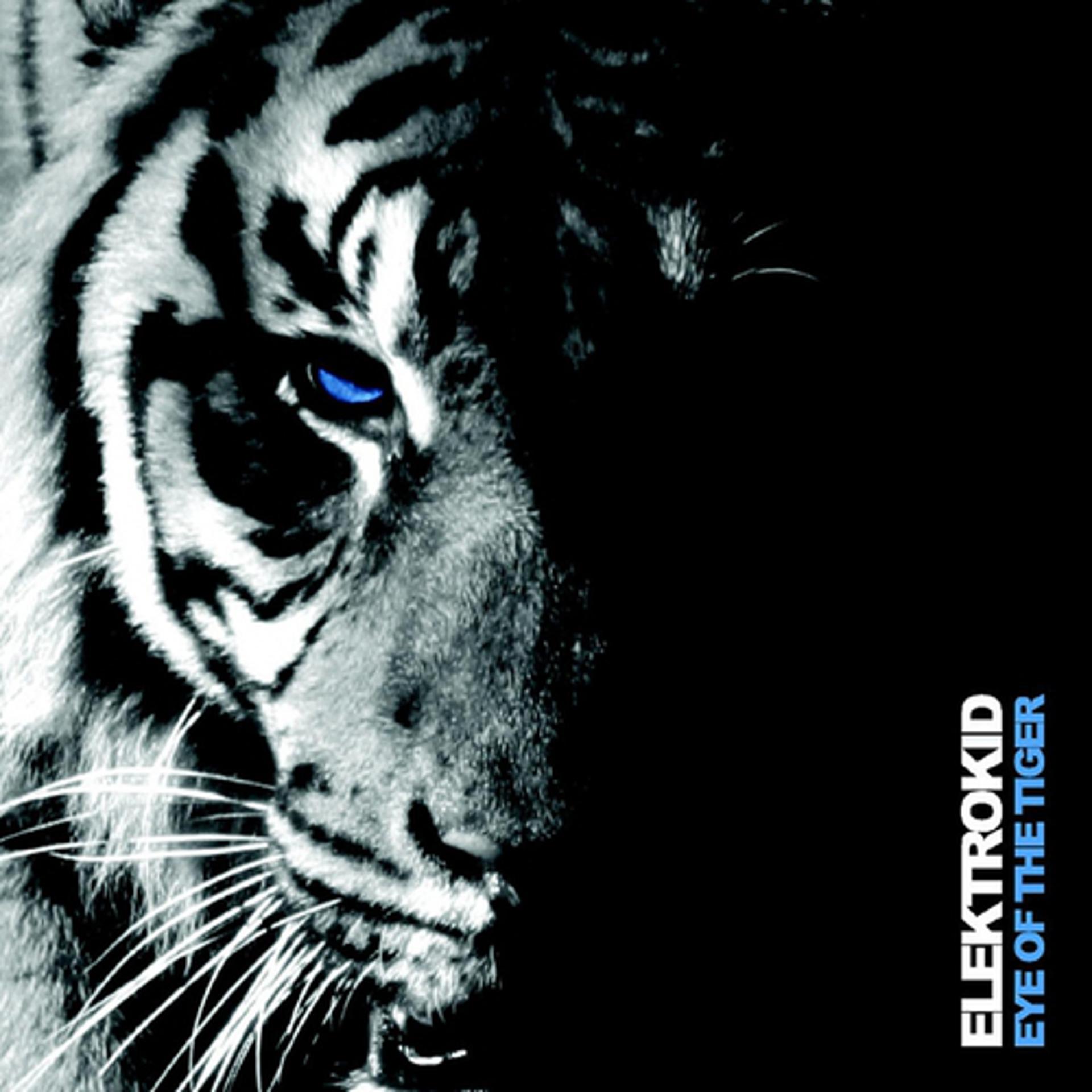 Постер альбома Eye of the tiger