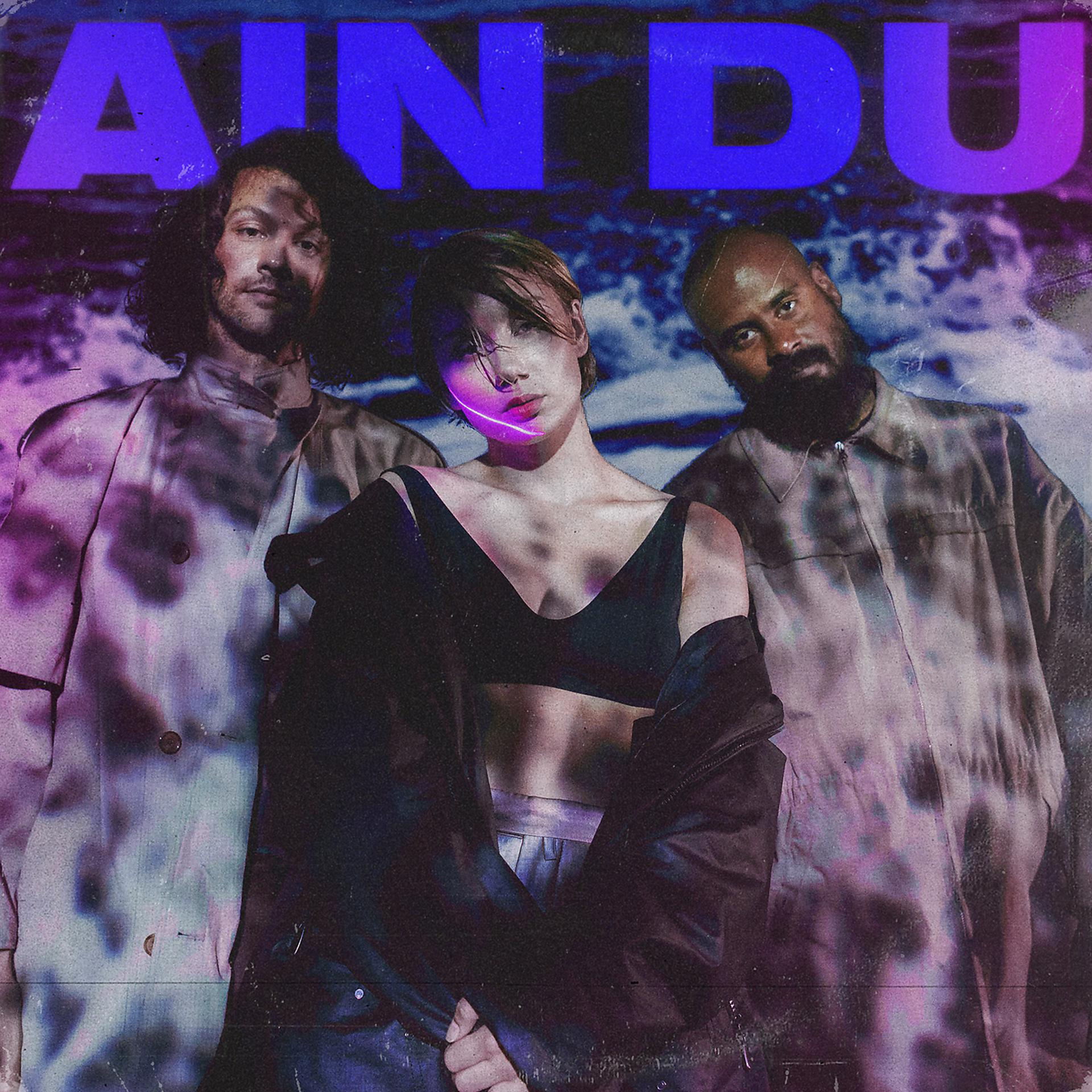 Постер альбома Ain Du