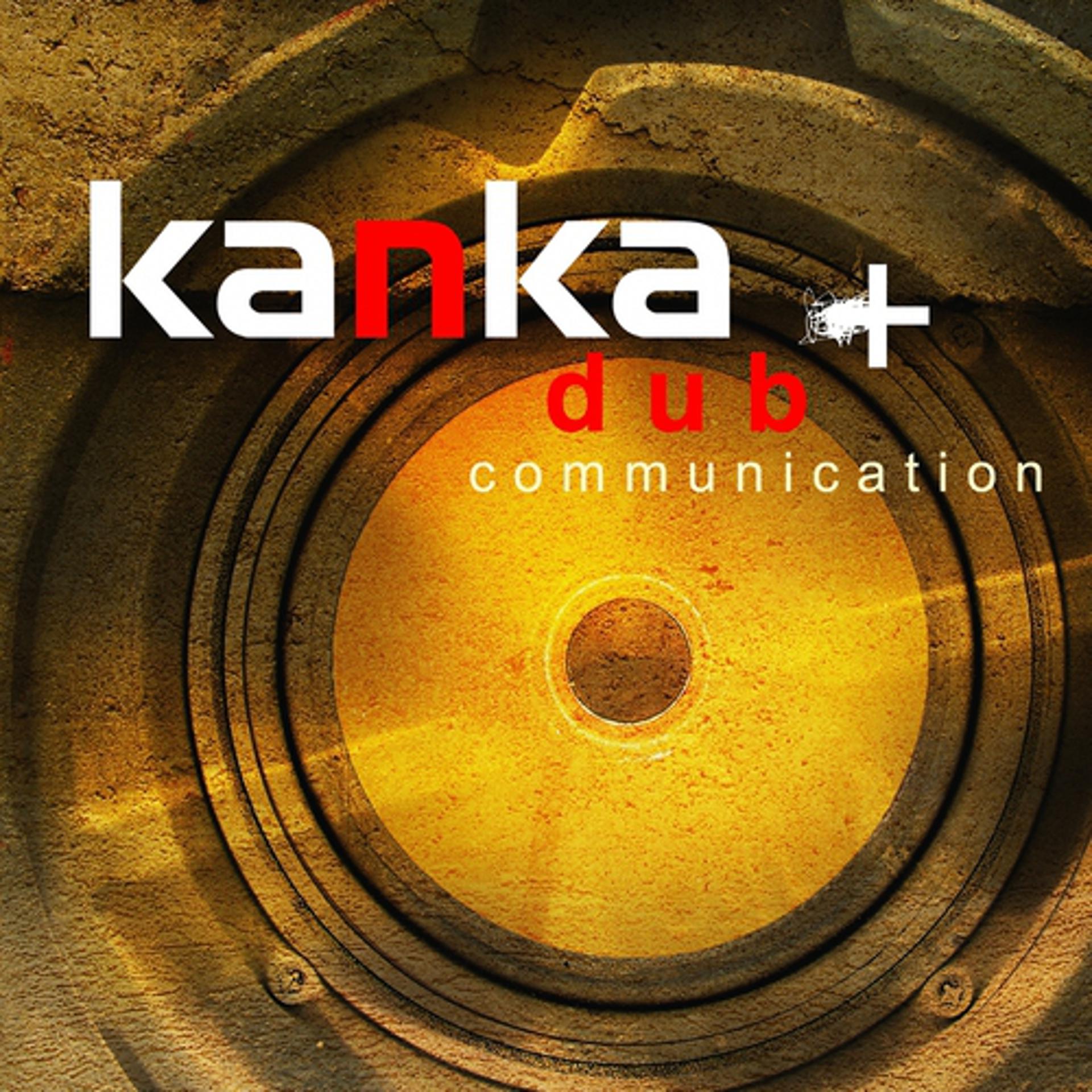 Постер альбома Dub Communication