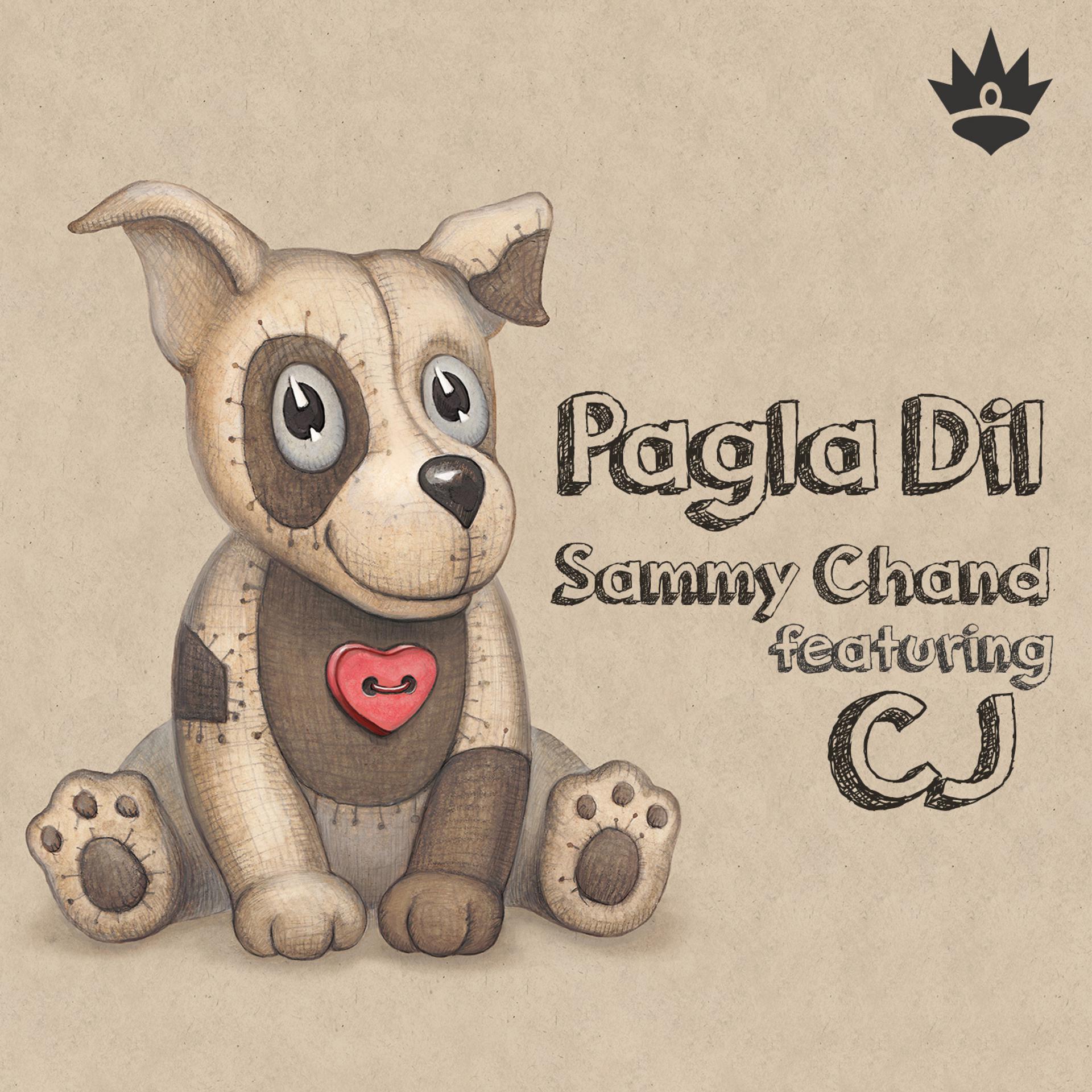 Постер альбома Pagla Dil
