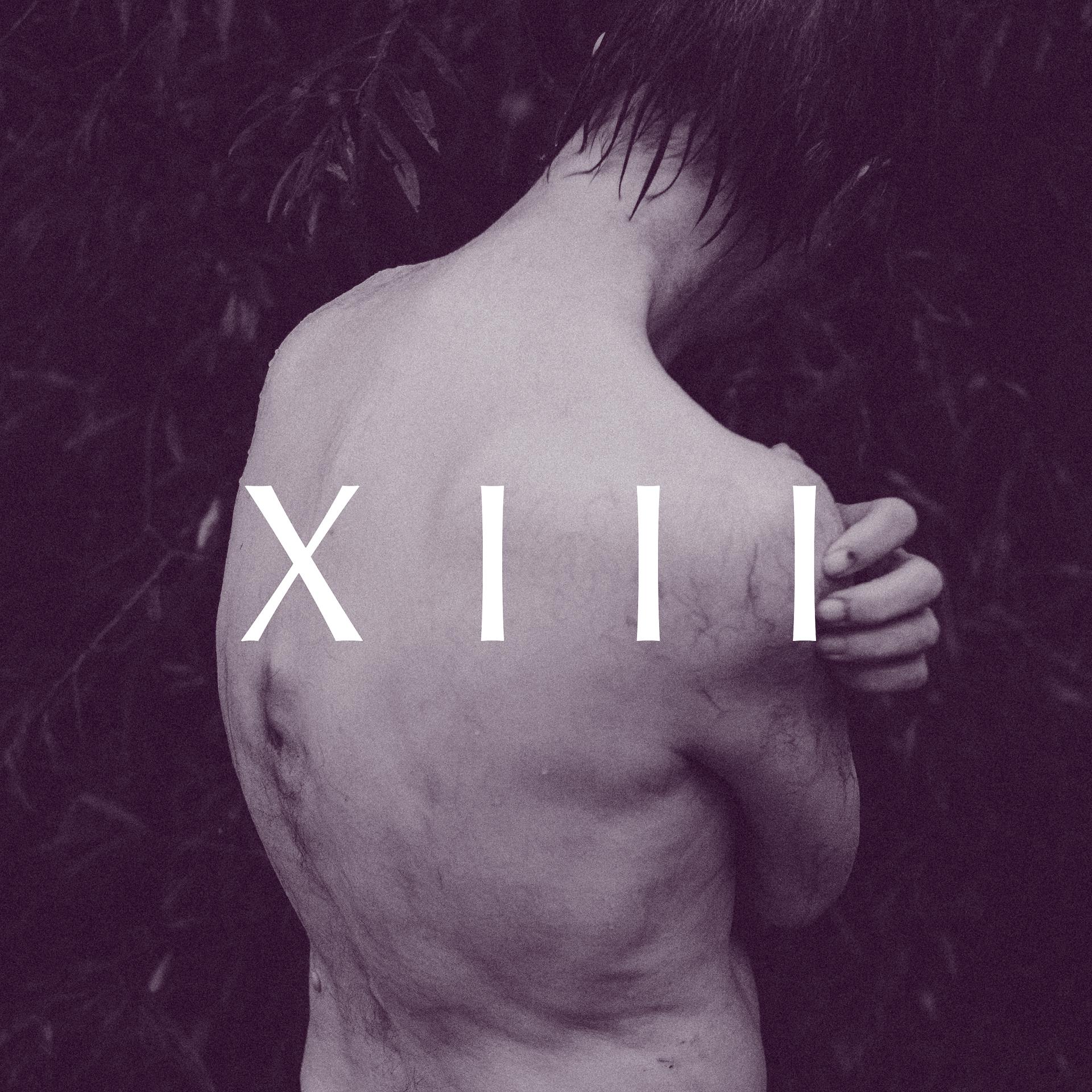 Постер альбома Akte XIII
