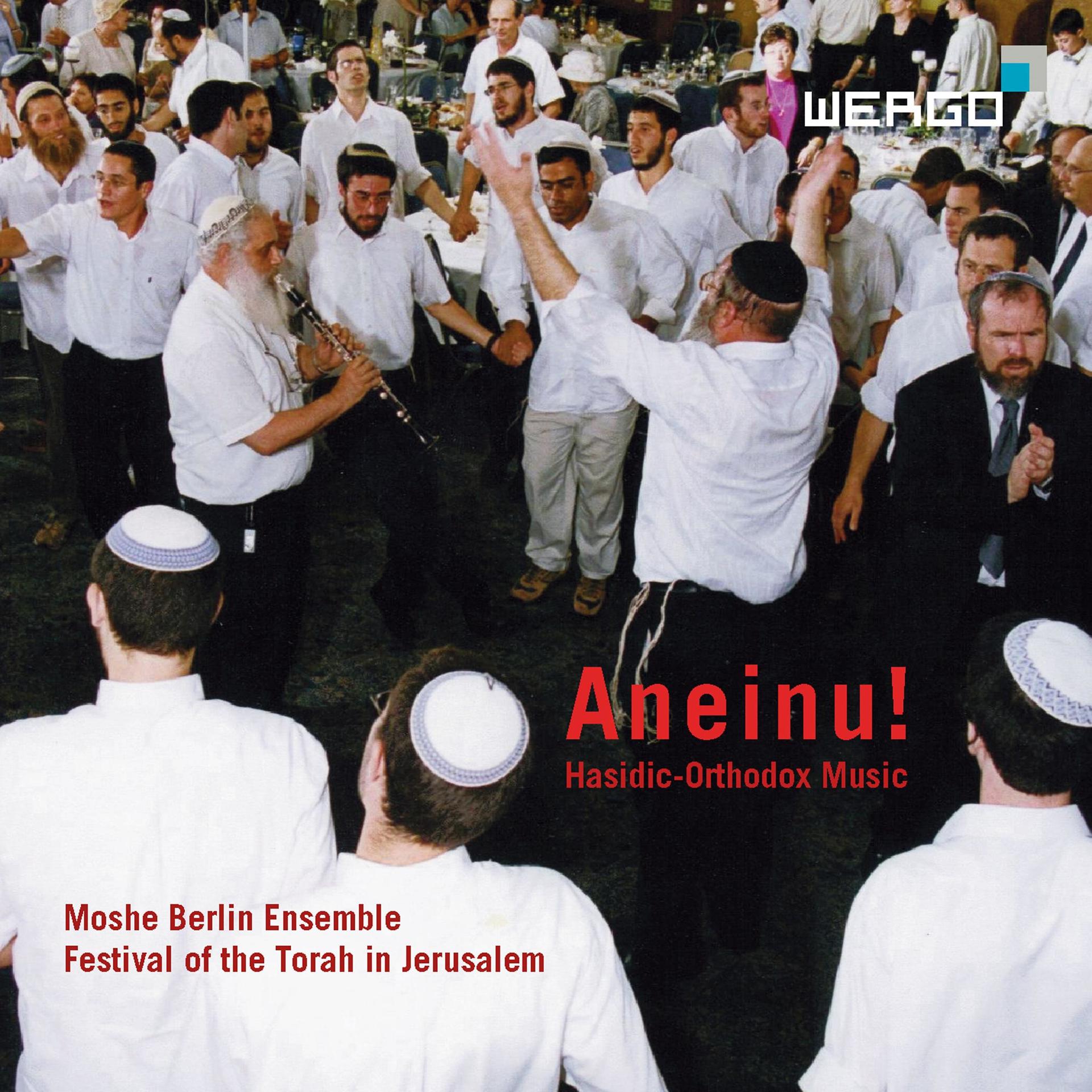 Постер альбома Aneinu! Hasidic-Orthodox Music from the Festival of the Torah in Jerusalem